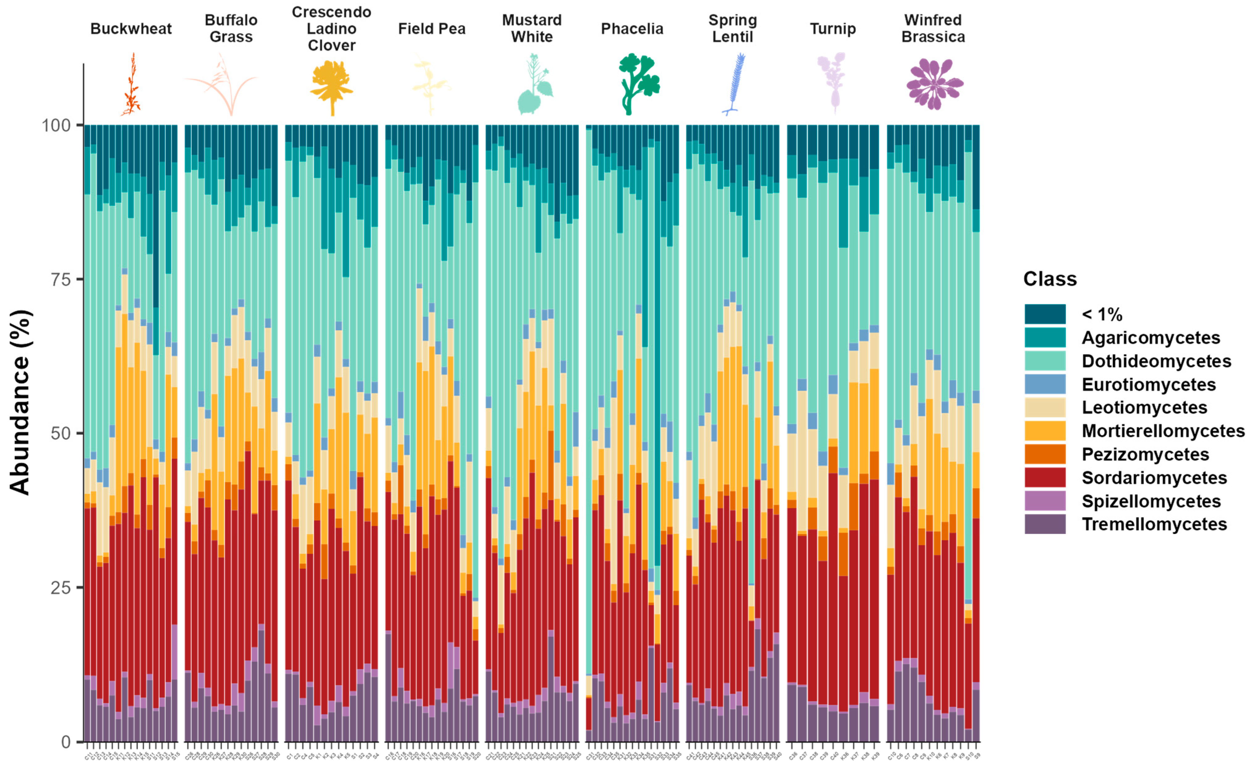 Agronomy 14 02835 g003 Agronomy 14 02835 g003