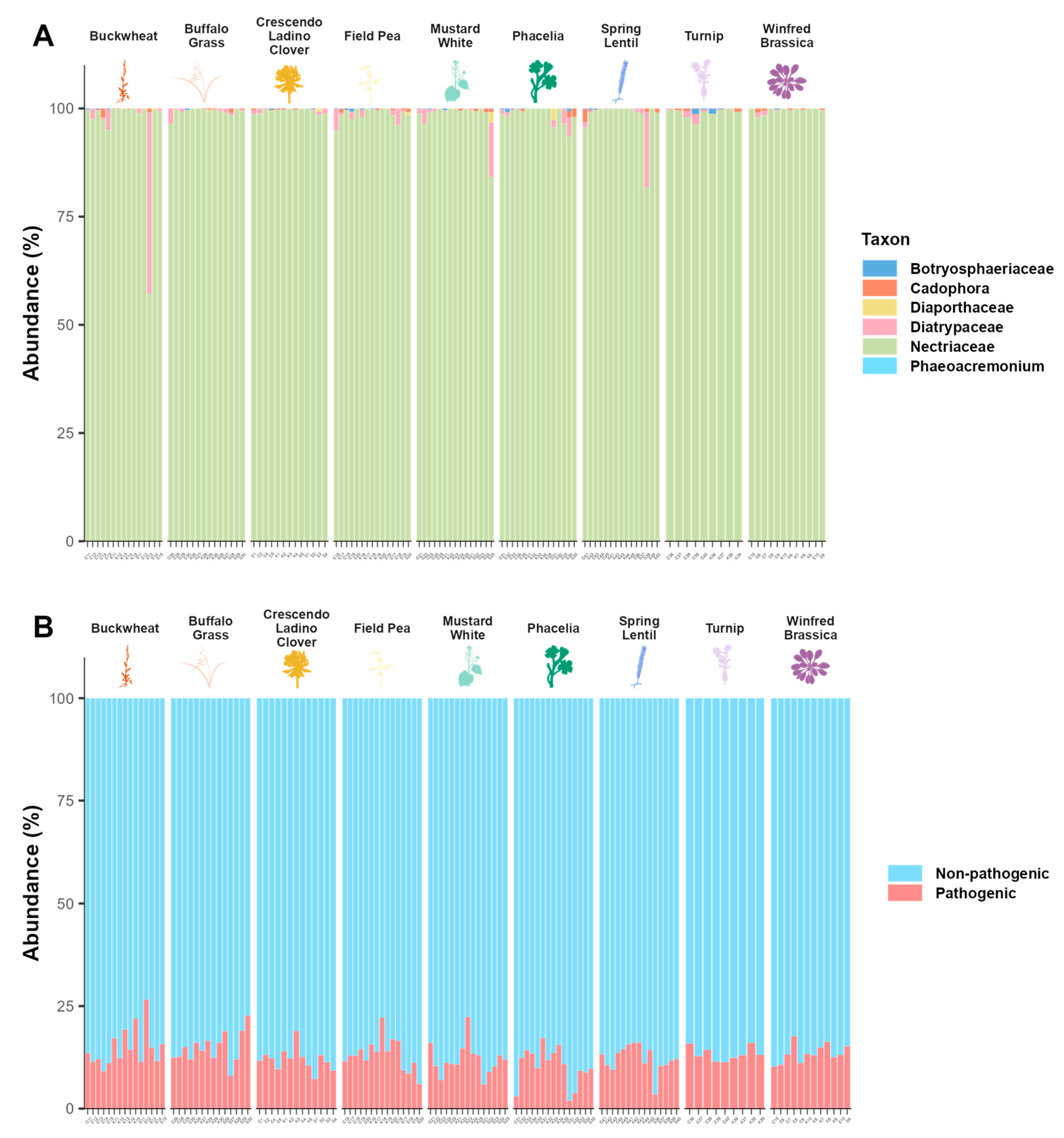 Agronomy 14 02835 g006 Agronomy 14 02835 g006