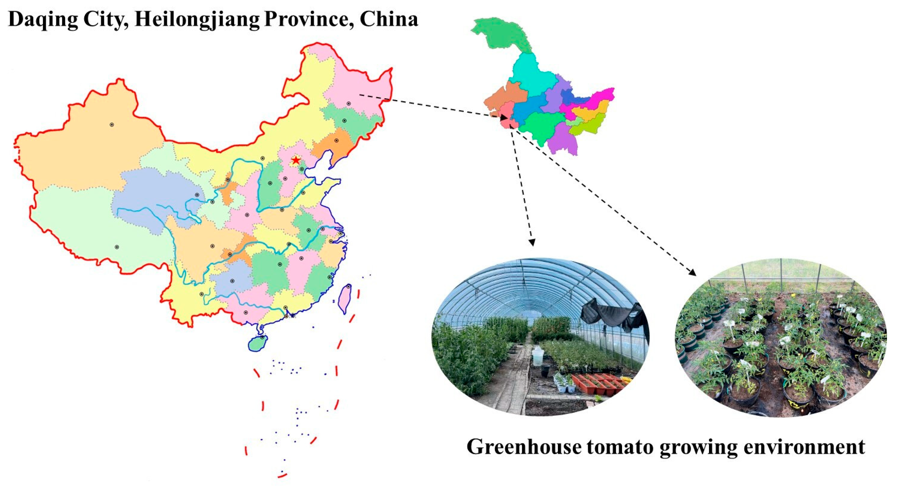 Agronomy 14 02837 g001