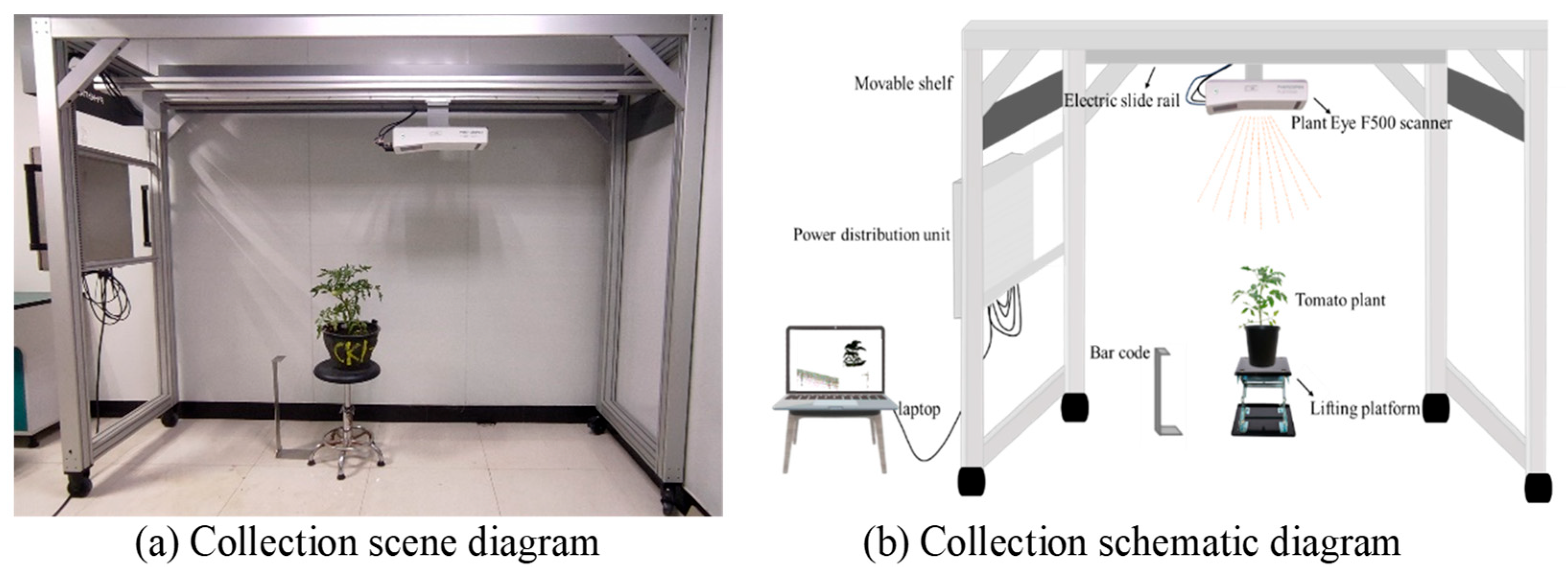 Agronomy 14 02837 g002