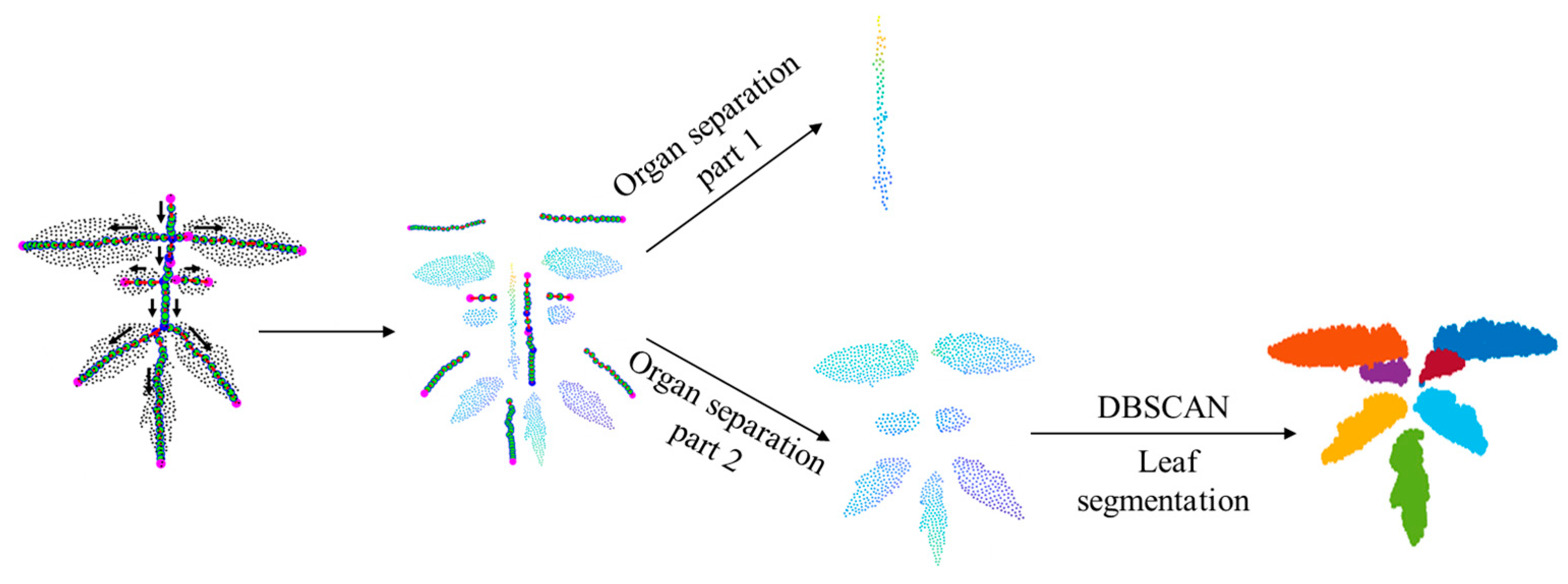 Agronomy 14 02837 g007
