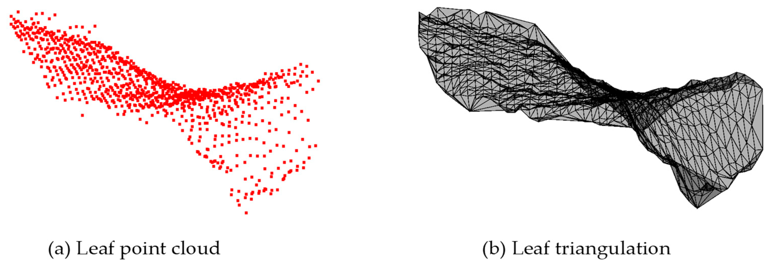 Agronomy 14 02837 g009