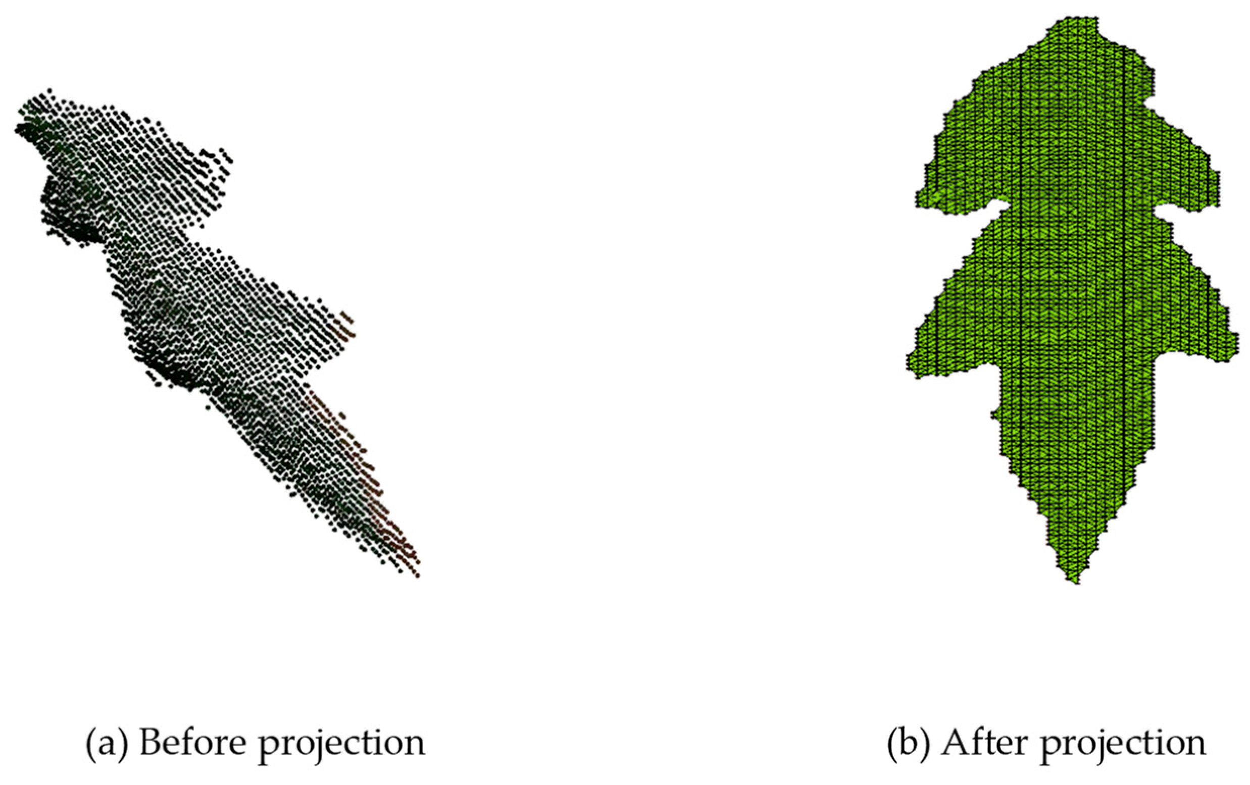 Agronomy 14 02837 g010