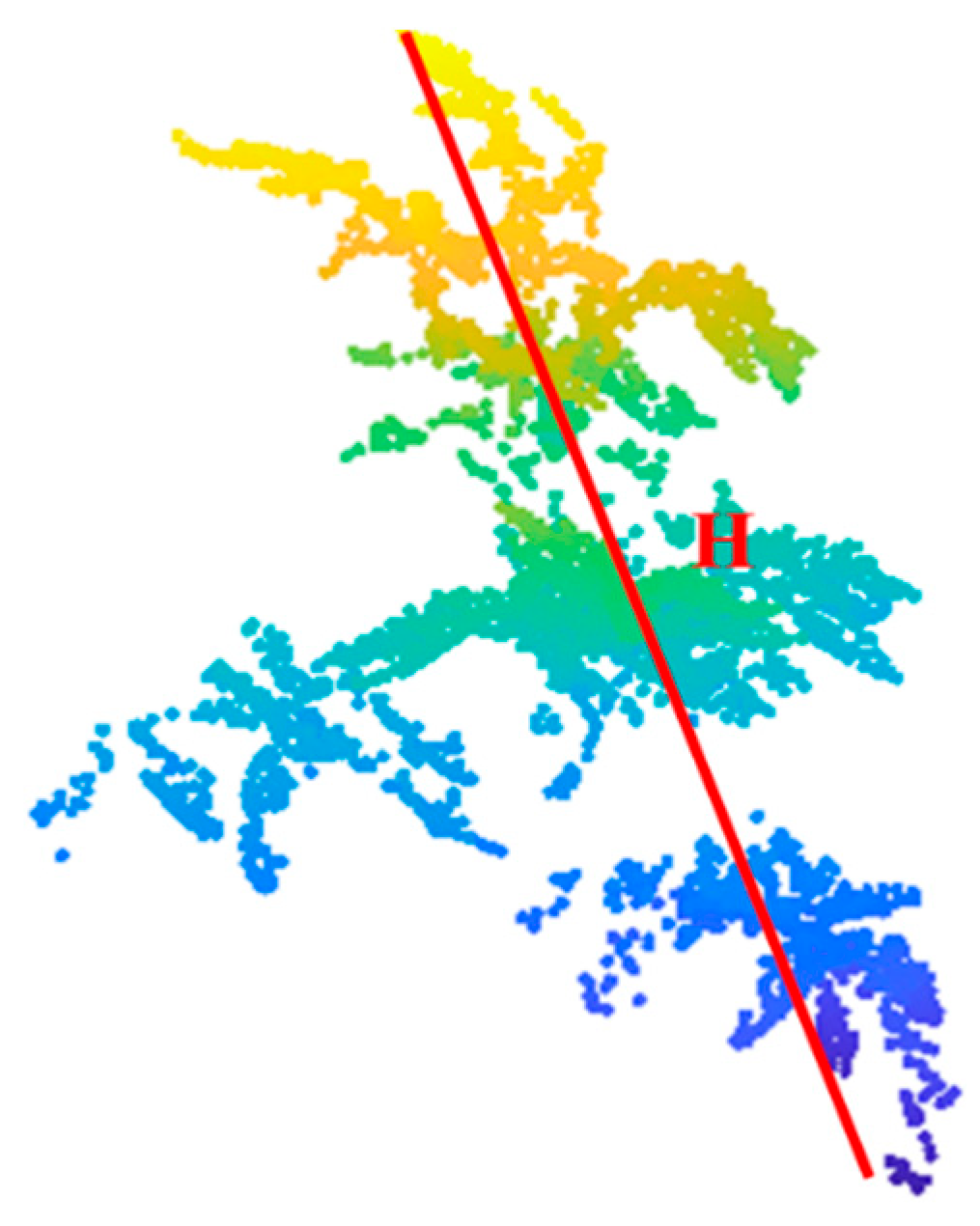 Agronomy 14 02837 g011