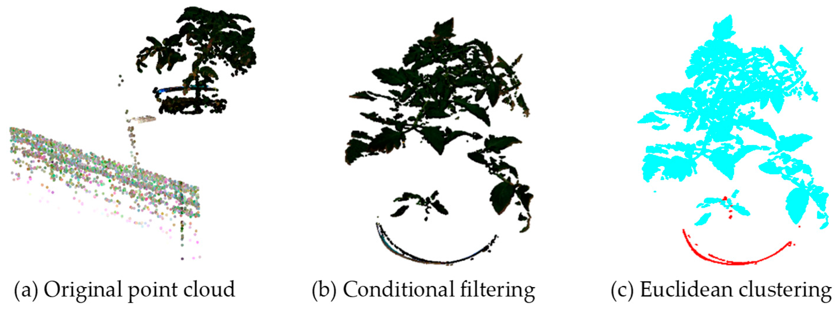 Agronomy 14 02837 g013