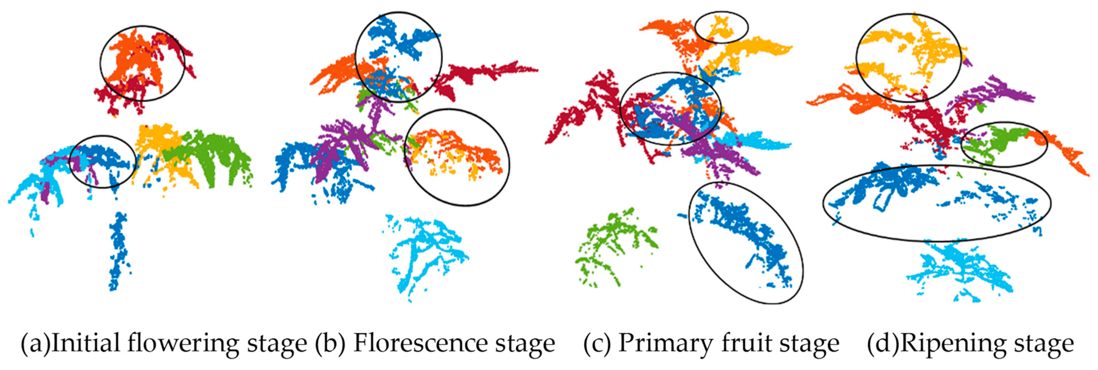 Agronomy 14 02837 g015