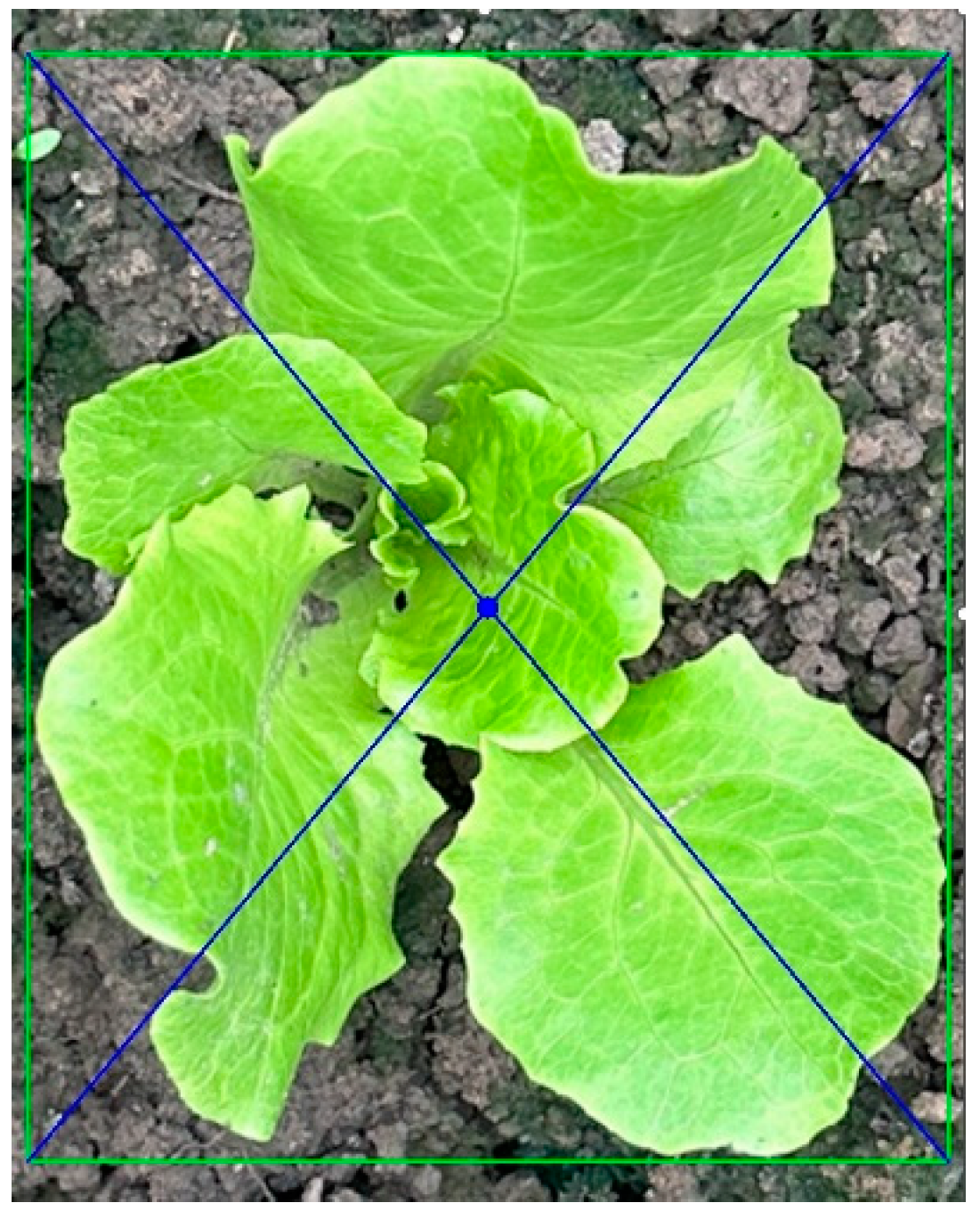 Agronomy 14 02838 g005