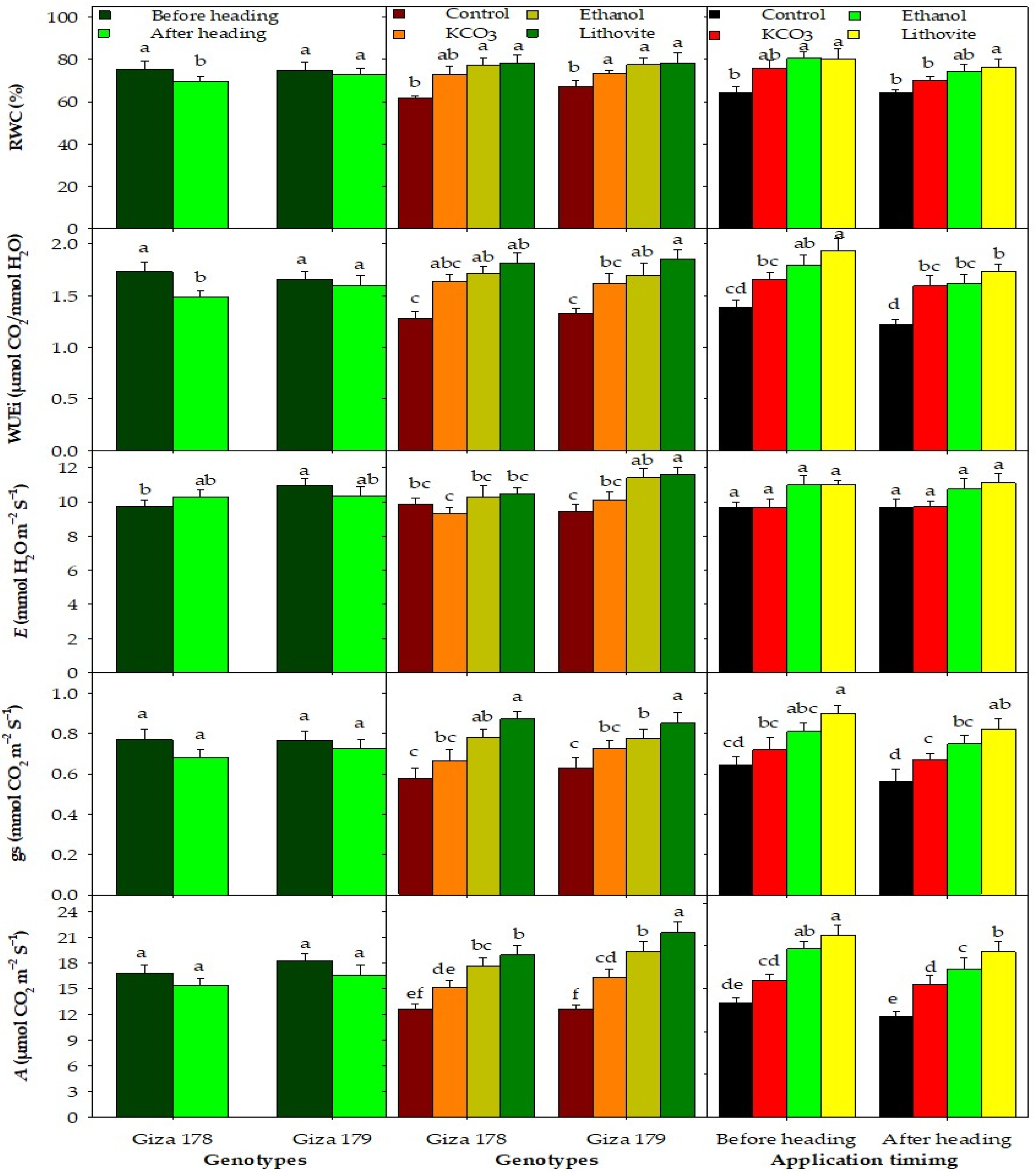 Agronomy 14 02850 g004