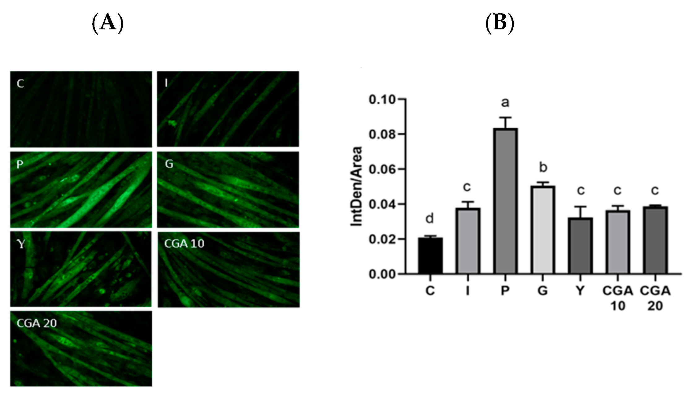 Agronomy 14 02855 g002