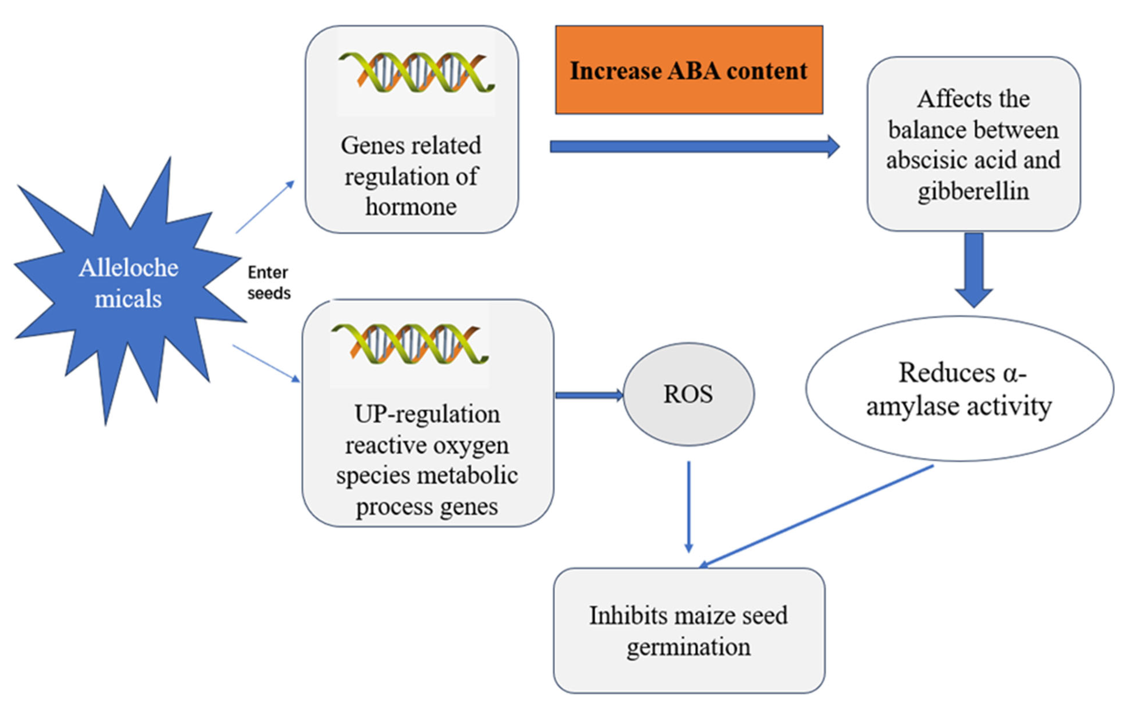 Agronomy 14 02857 g007
