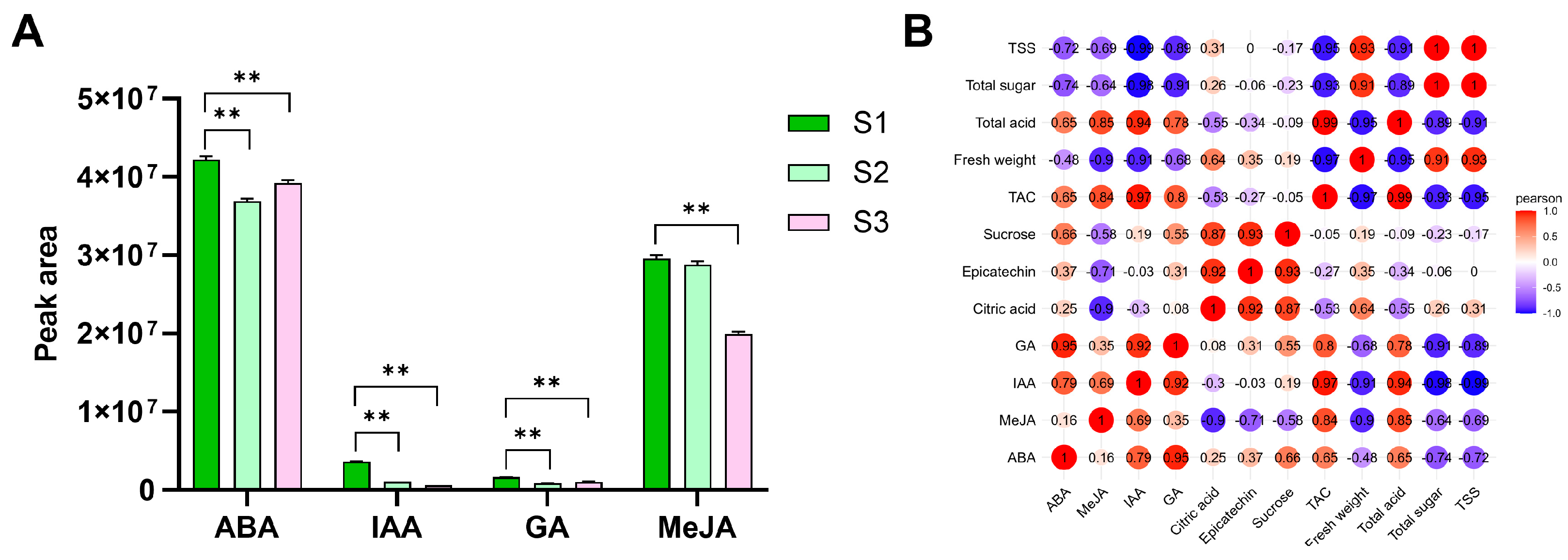 Agronomy 14 02860 g005