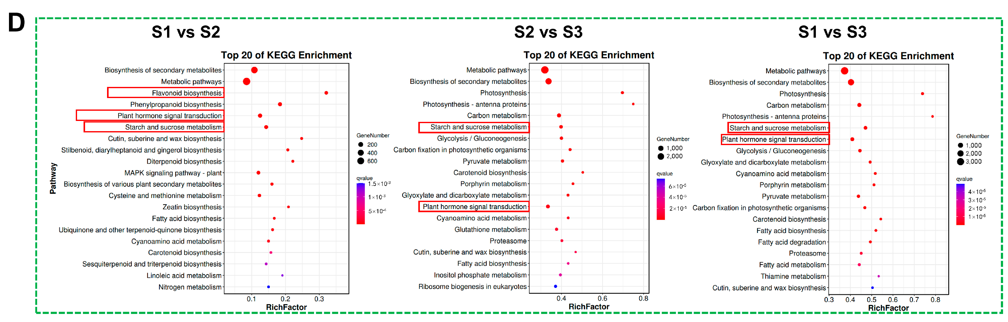 Agronomy 14 02860 g006b