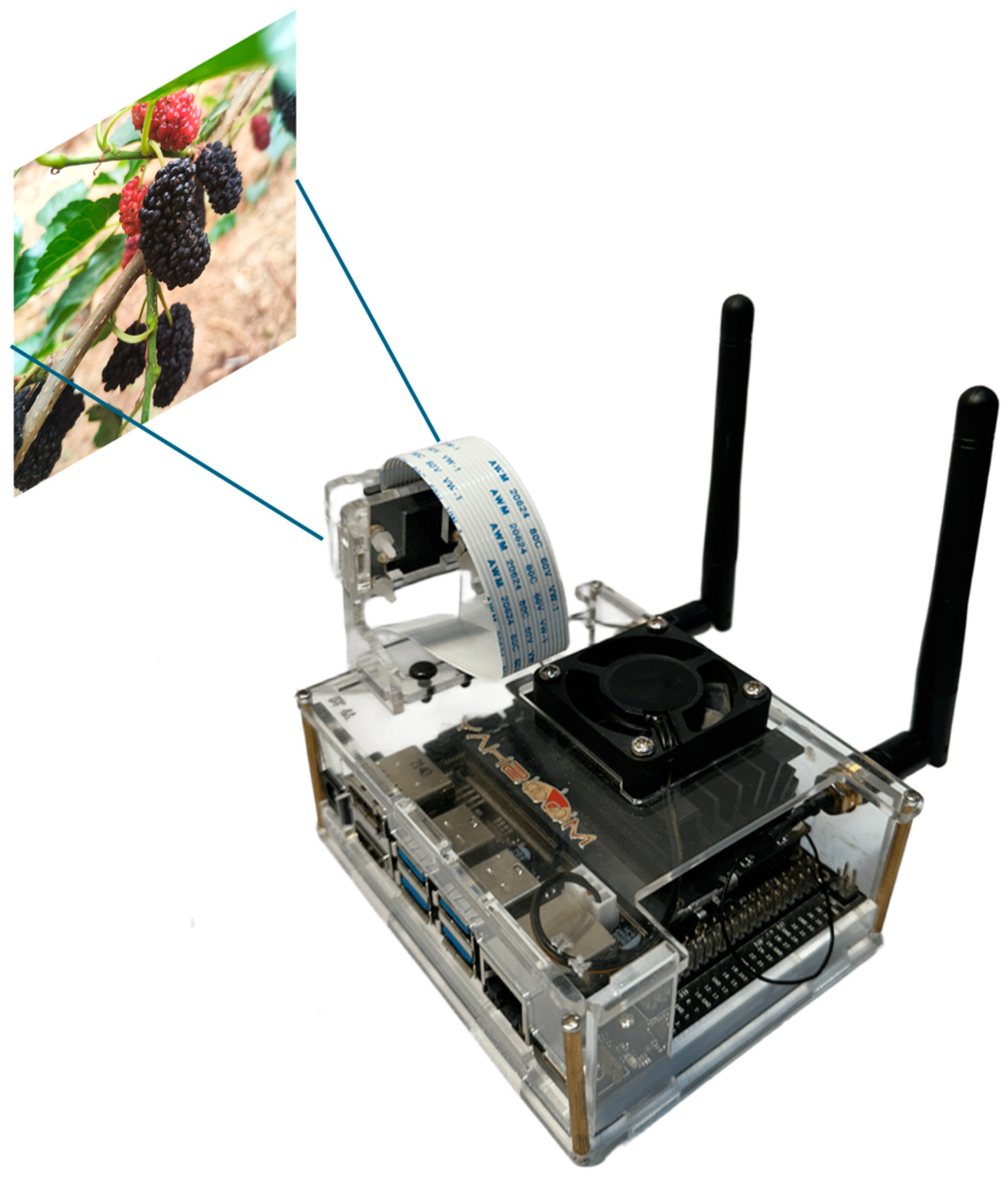 Agronomy 14 02861 g011