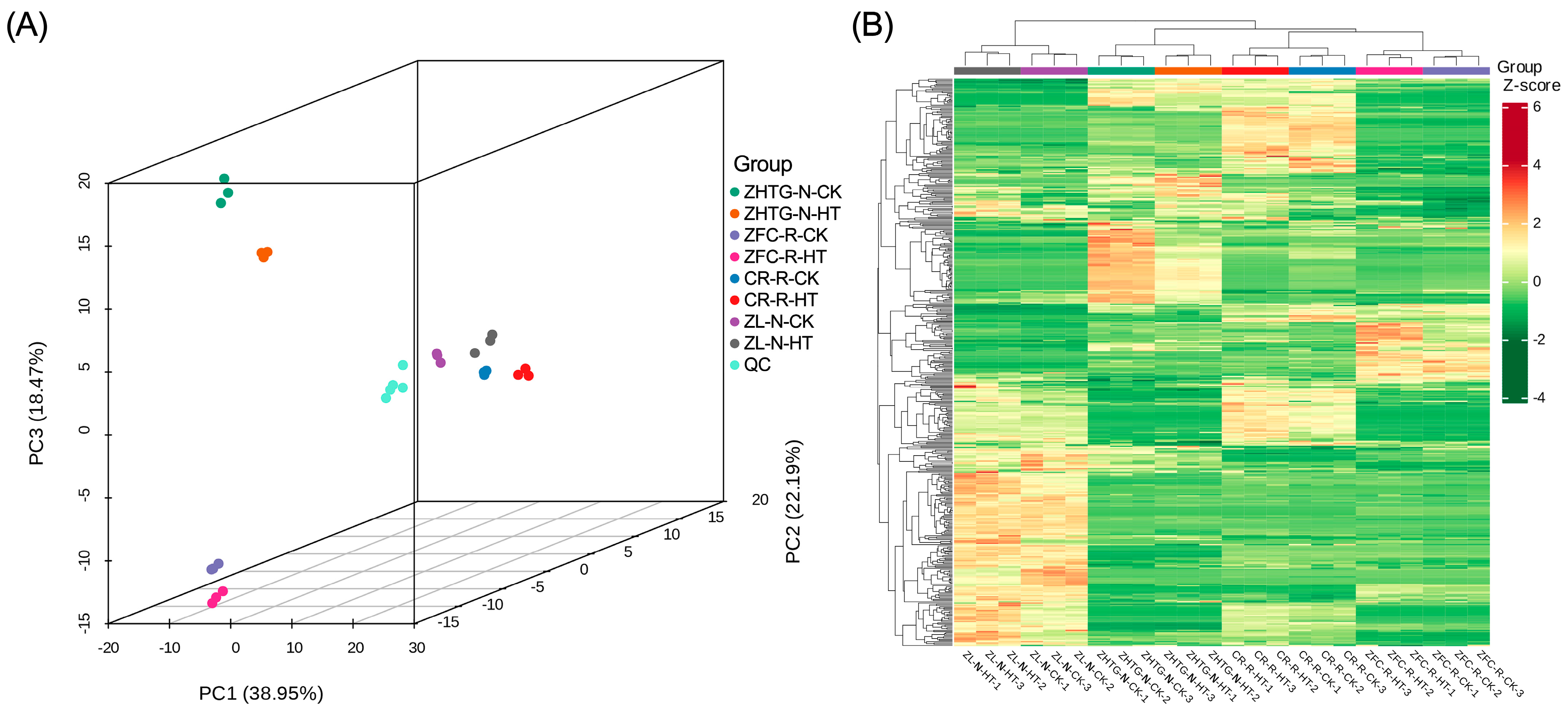 Agronomy 14 02863 g001