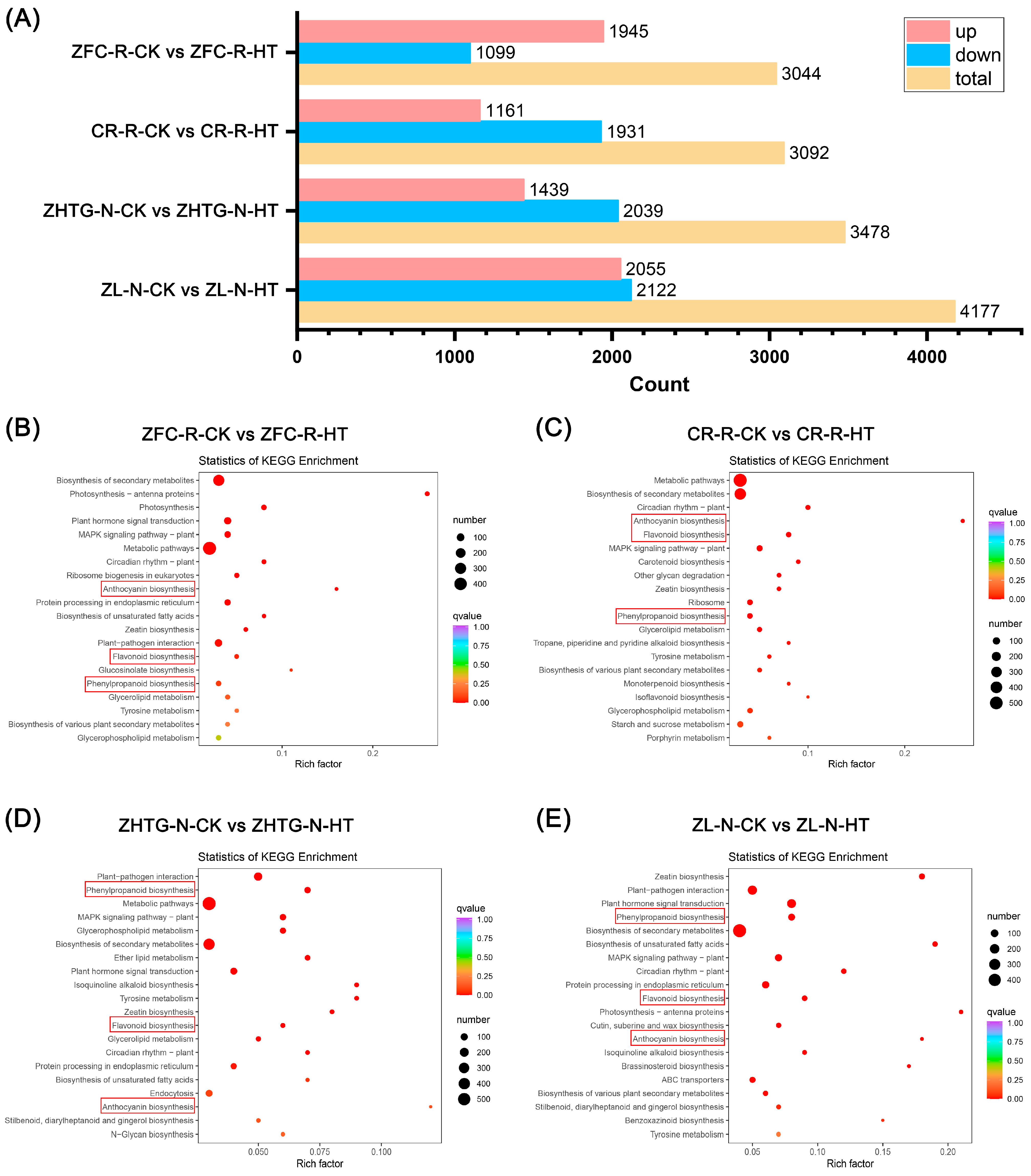 Agronomy 14 02863 g004