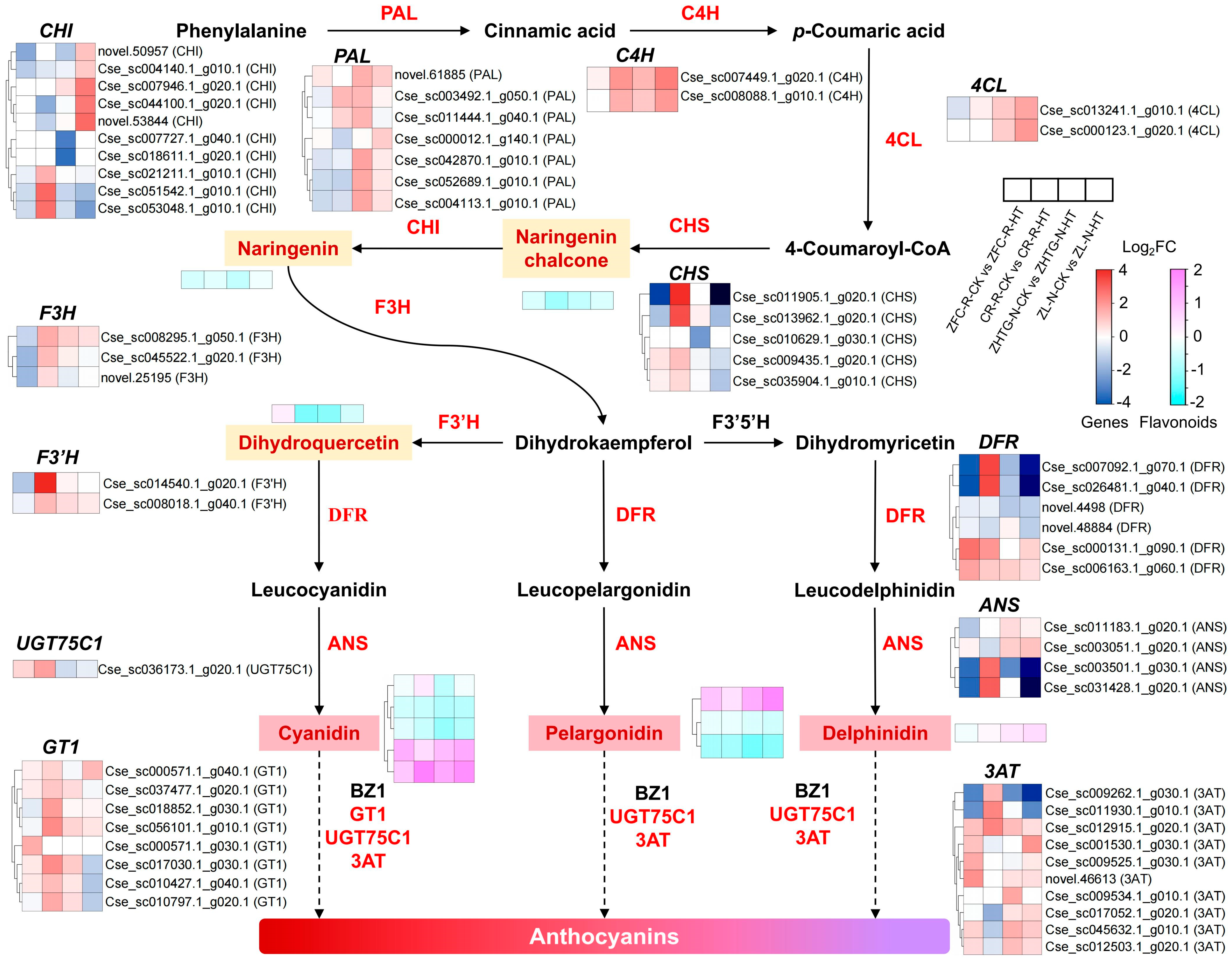 Agronomy 14 02863 g005