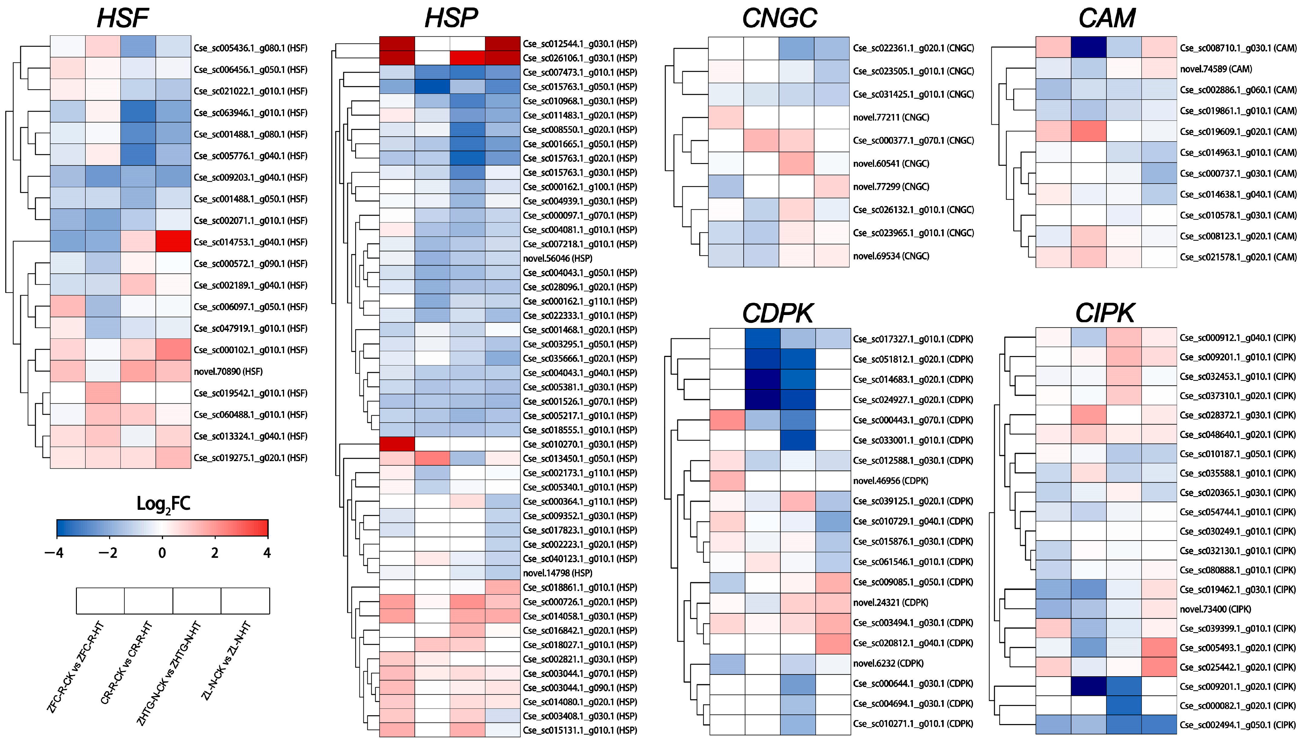 Agronomy 14 02863 g007