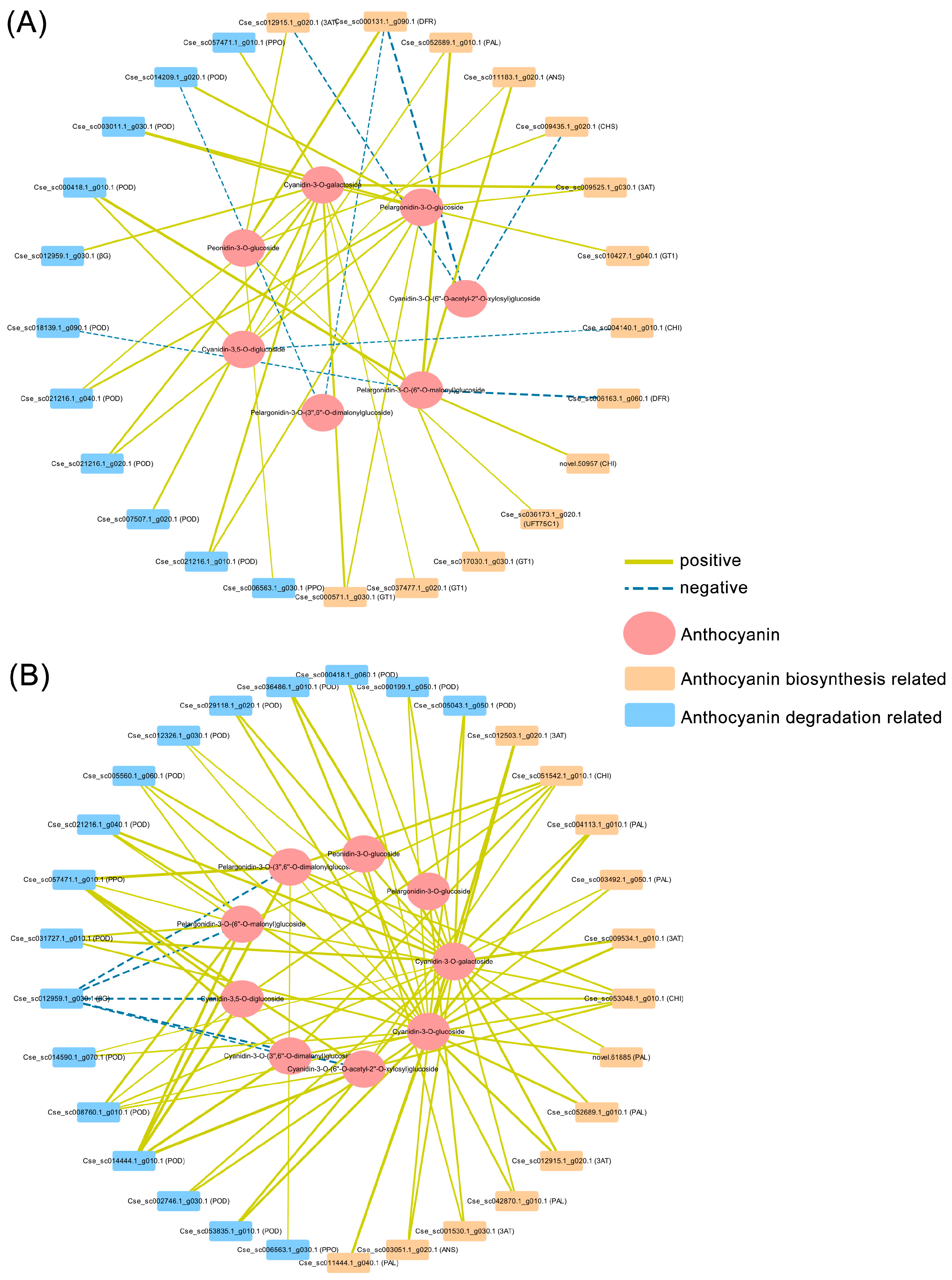 Agronomy 14 02863 g008