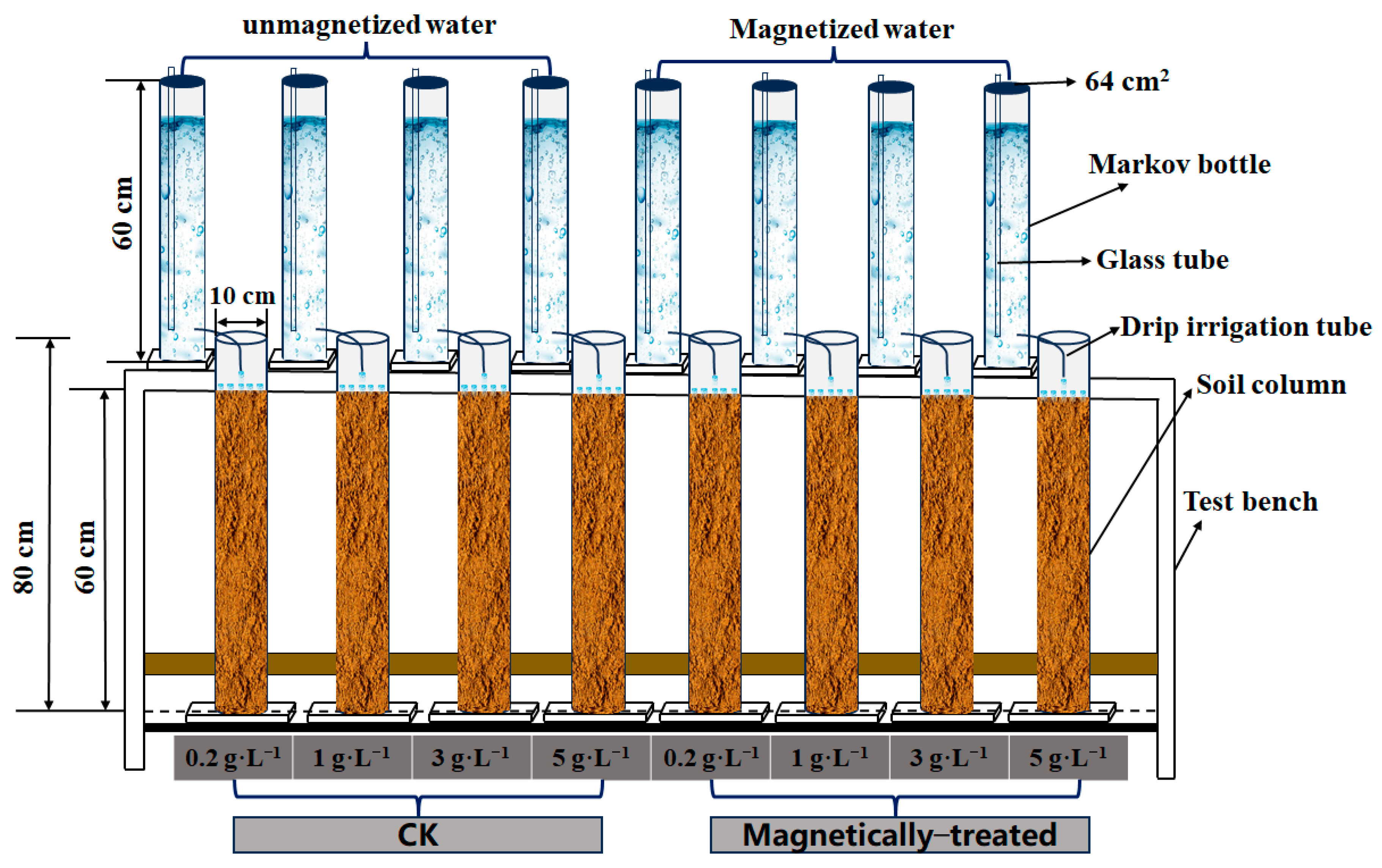 Agronomy 14 02873 g001