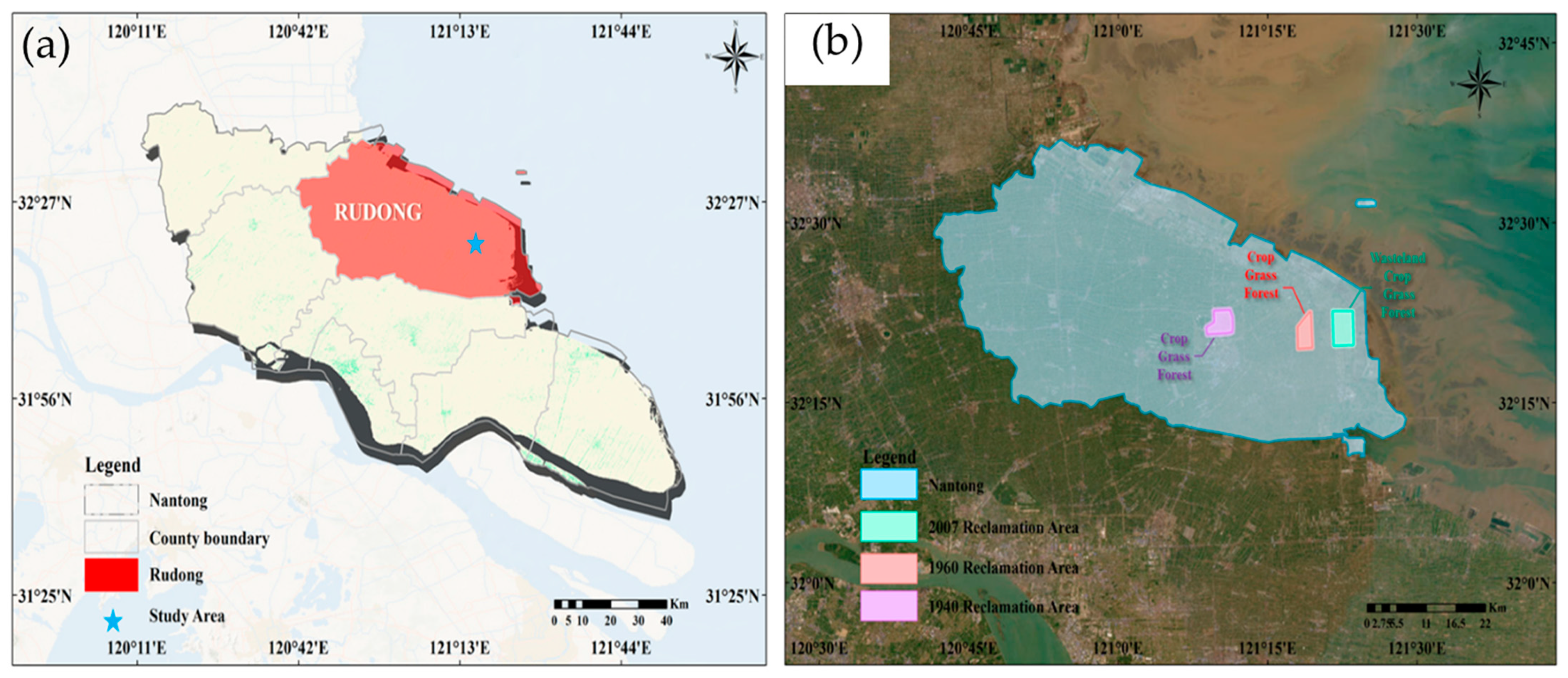 Agronomy 14 02877 g001