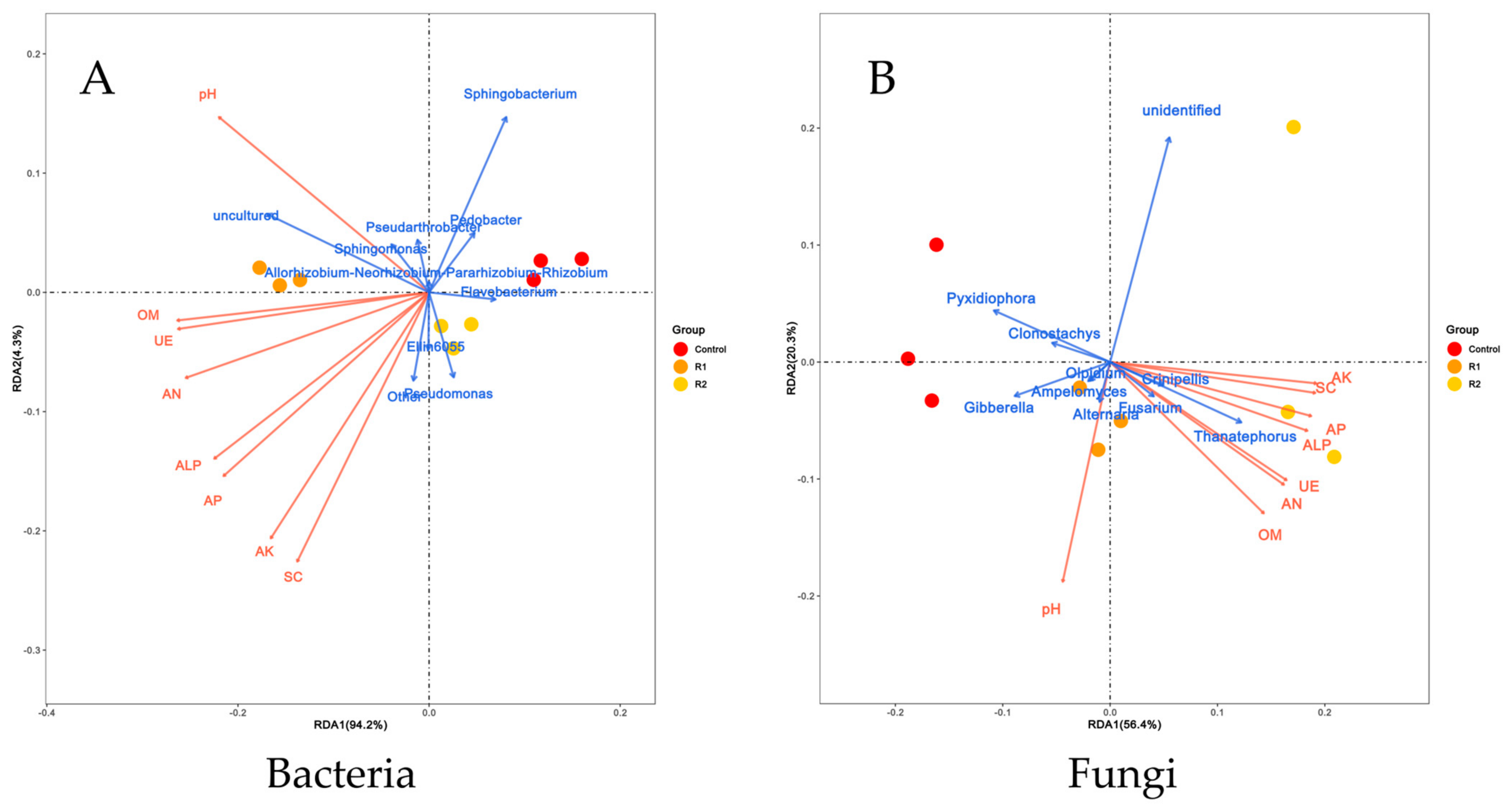 Agronomy 14 02880 g004