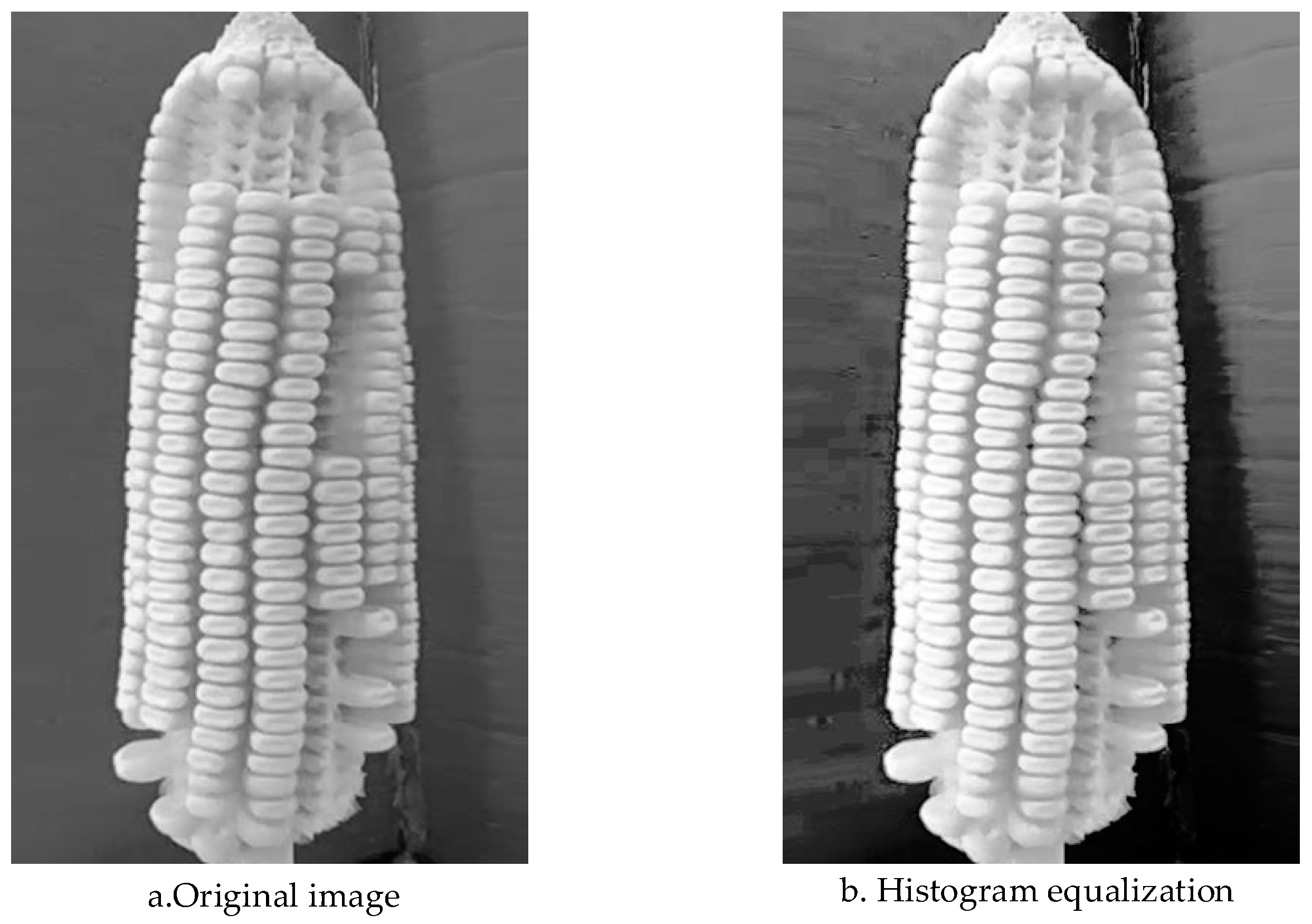 Agronomy 14 02884 g005