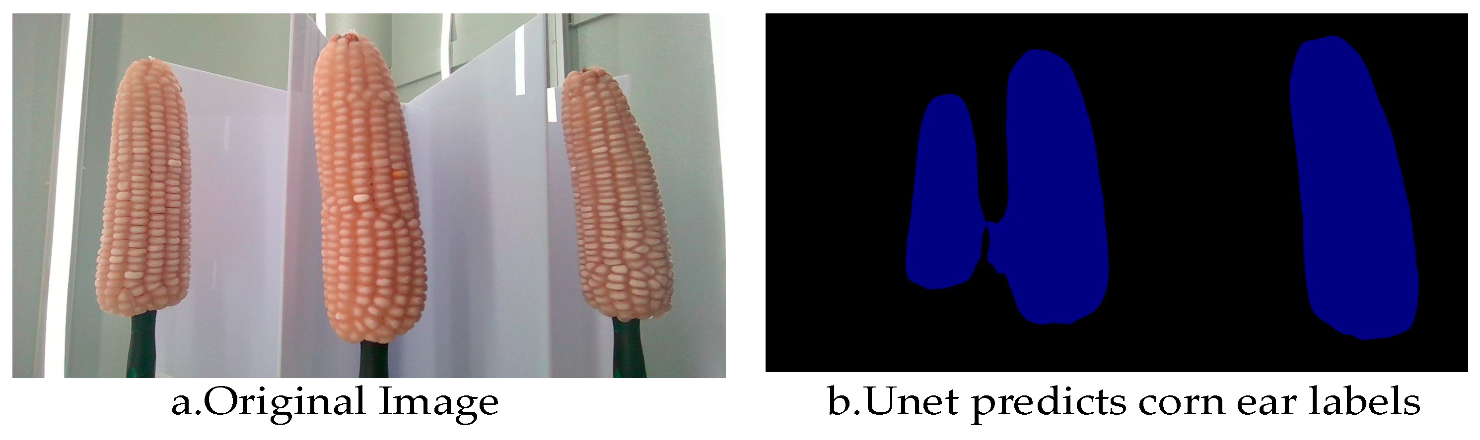 Agronomy 14 02884 g006