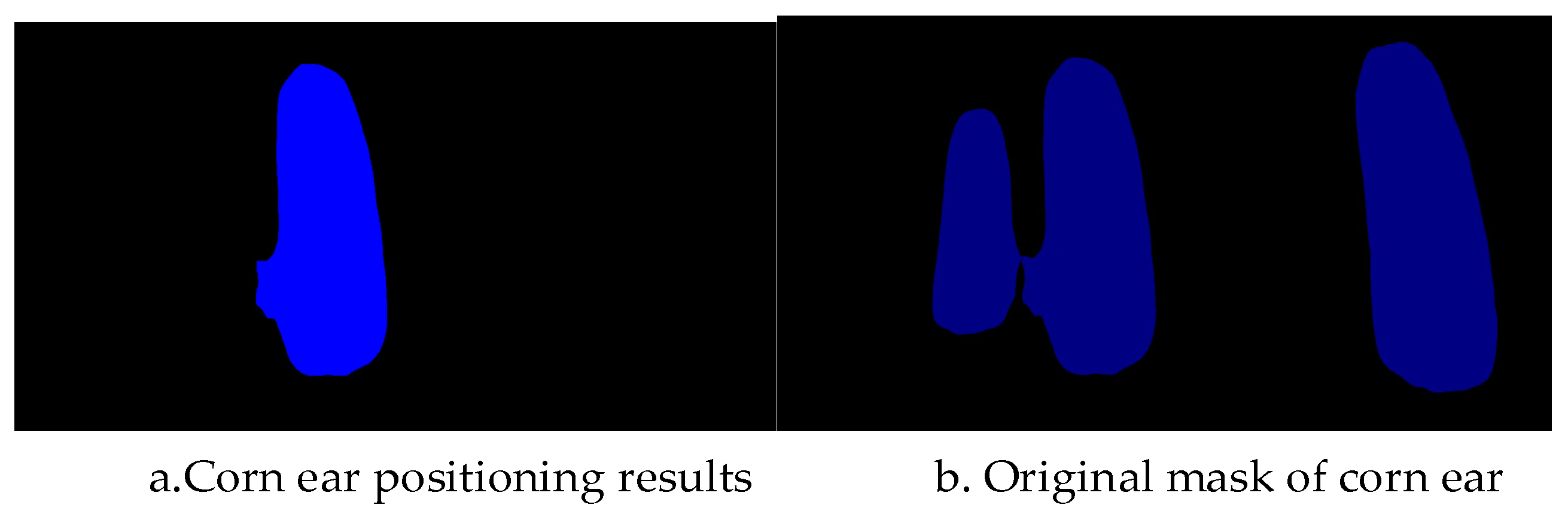 Agronomy 14 02884 g007