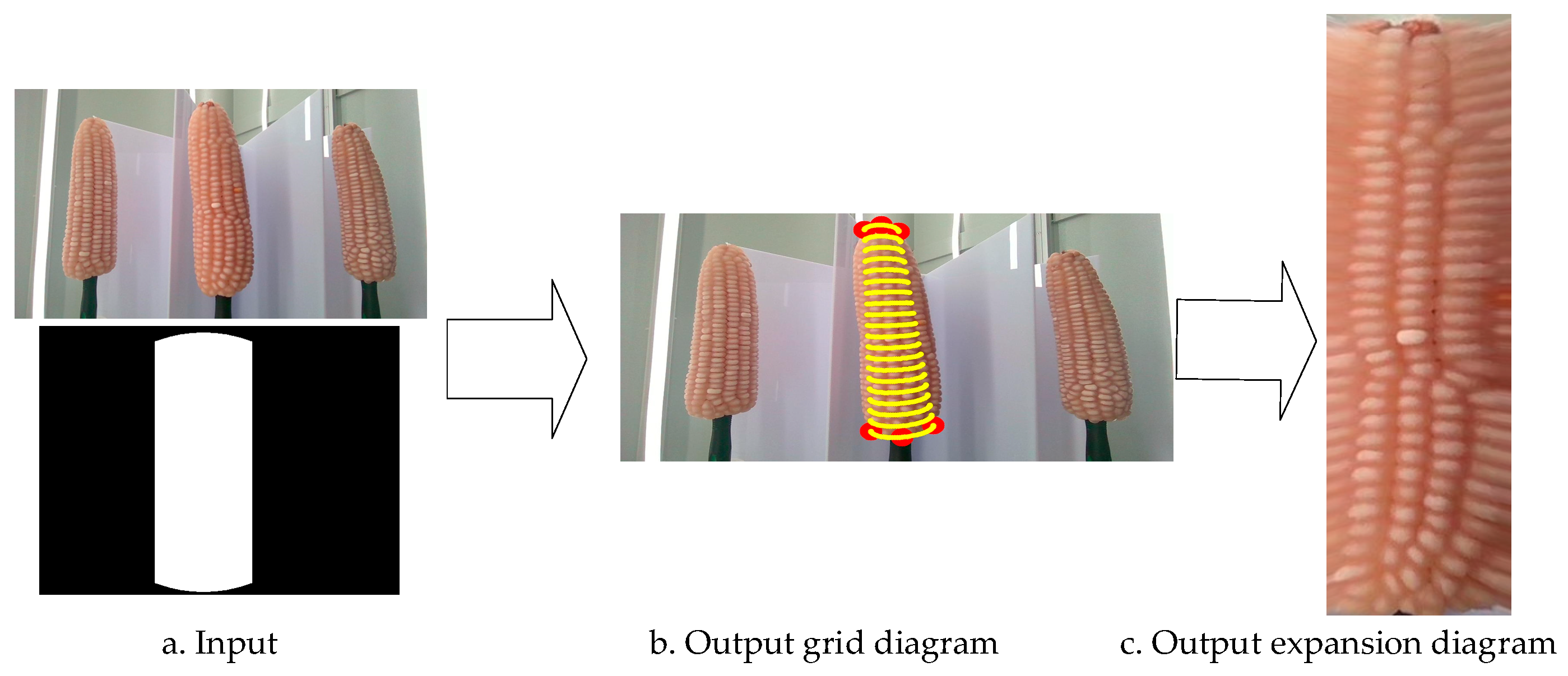 Agronomy 14 02884 g011