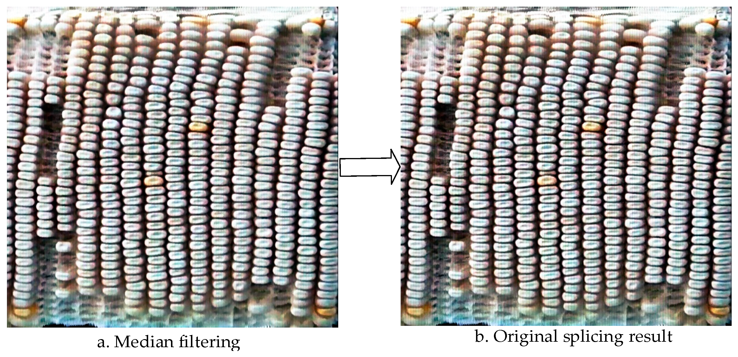 Agronomy 14 02884 g012