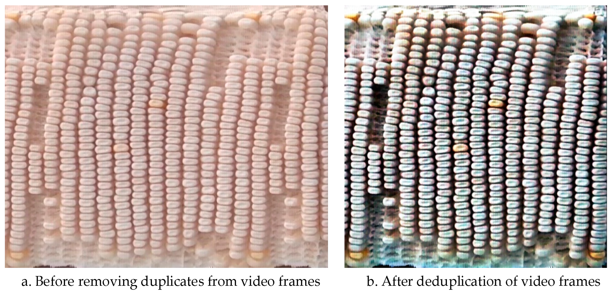 Agronomy 14 02884 g015