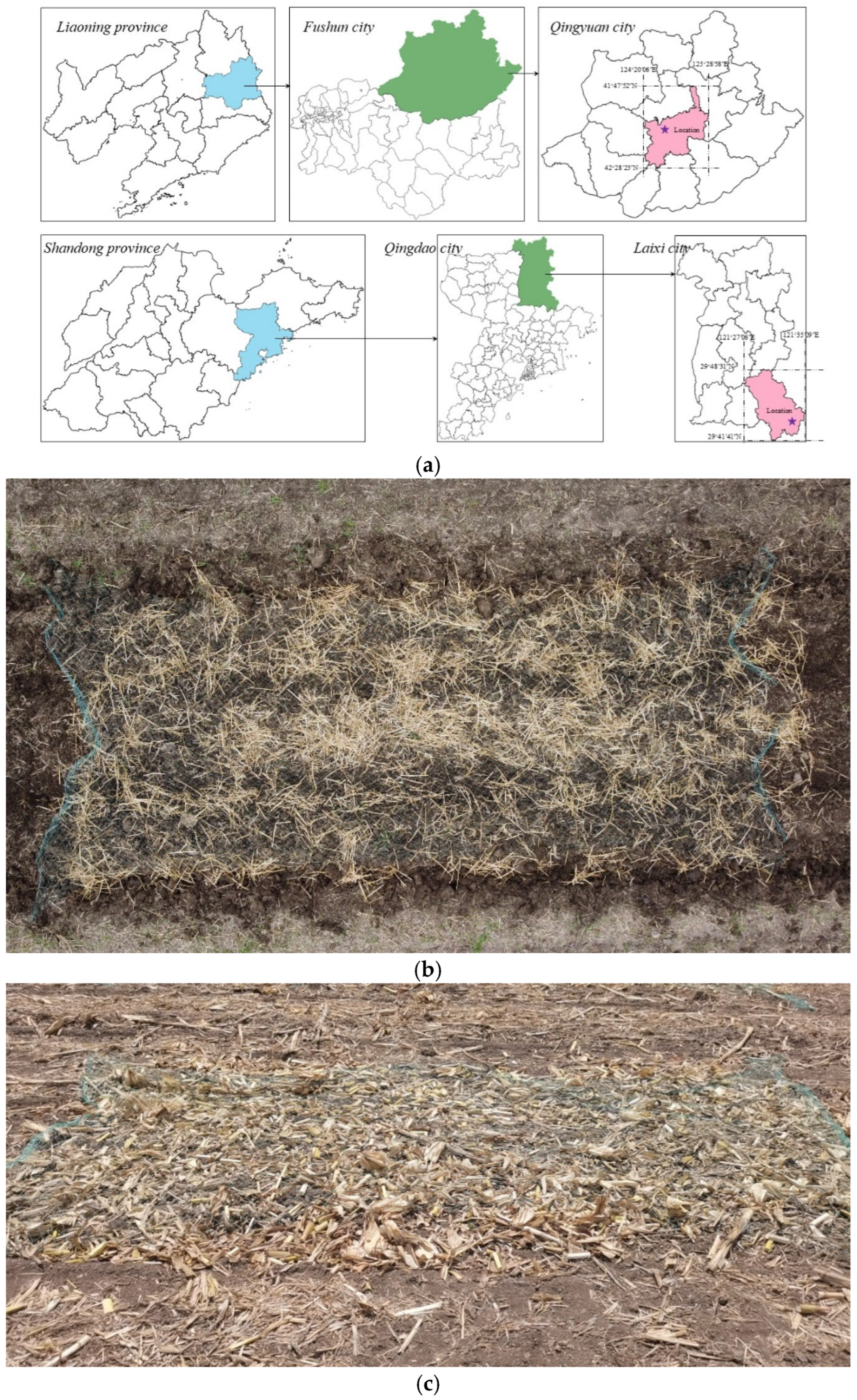 Agronomy 14 02885 g001a
