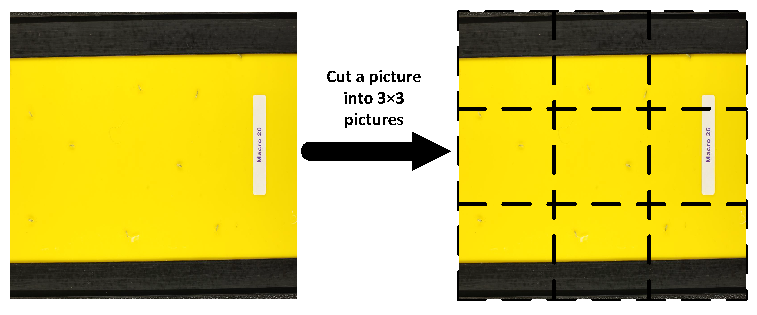 Agronomy 14 02887 g012