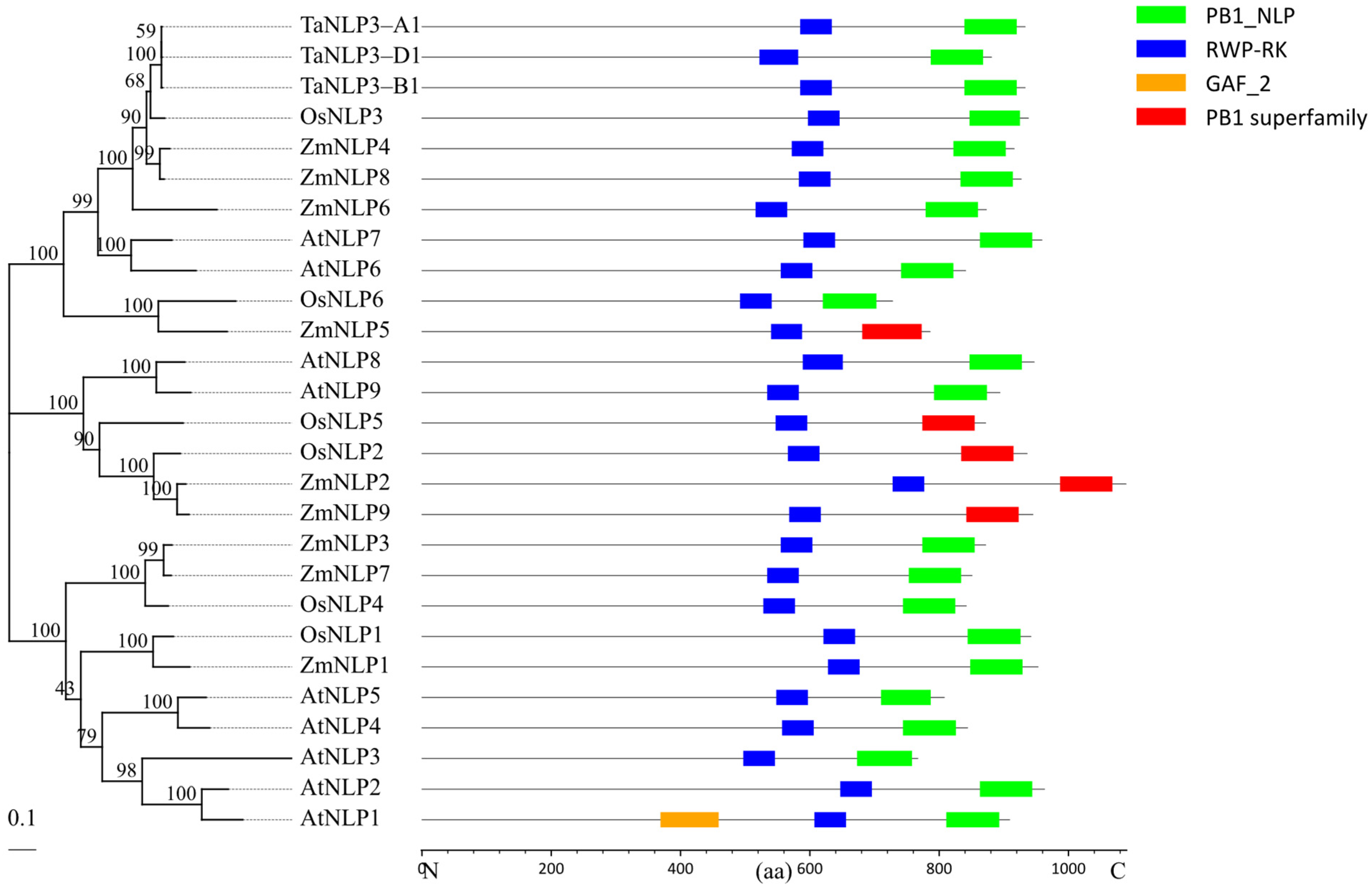 Agronomy 14 02888 g003
