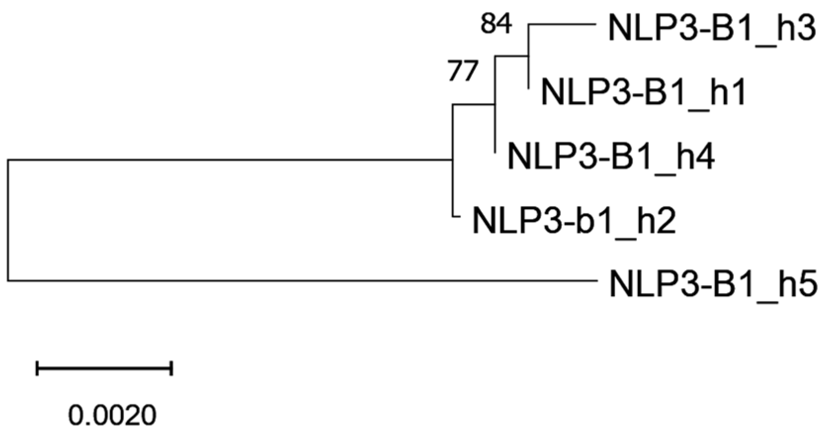 Agronomy 14 02888 g004