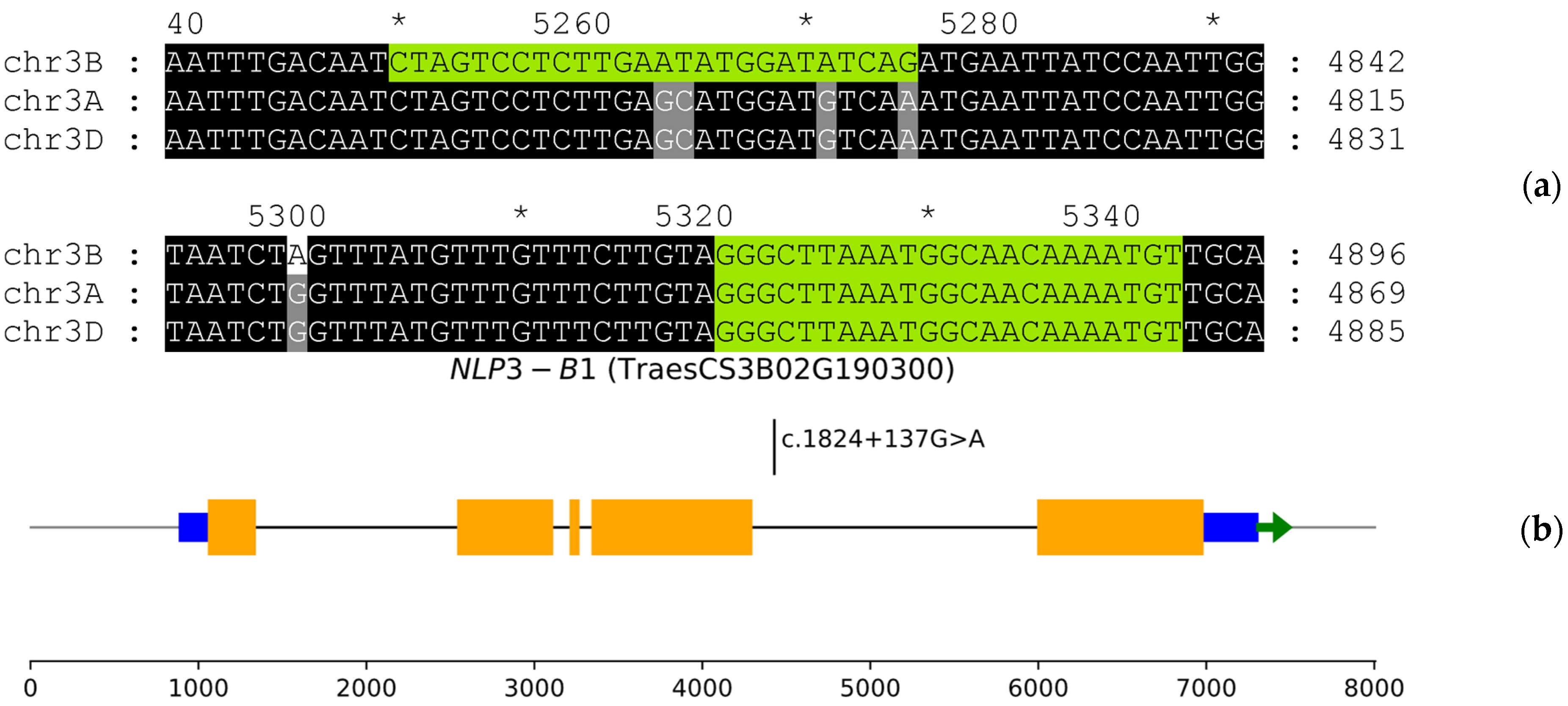 Agronomy 14 02888 g005