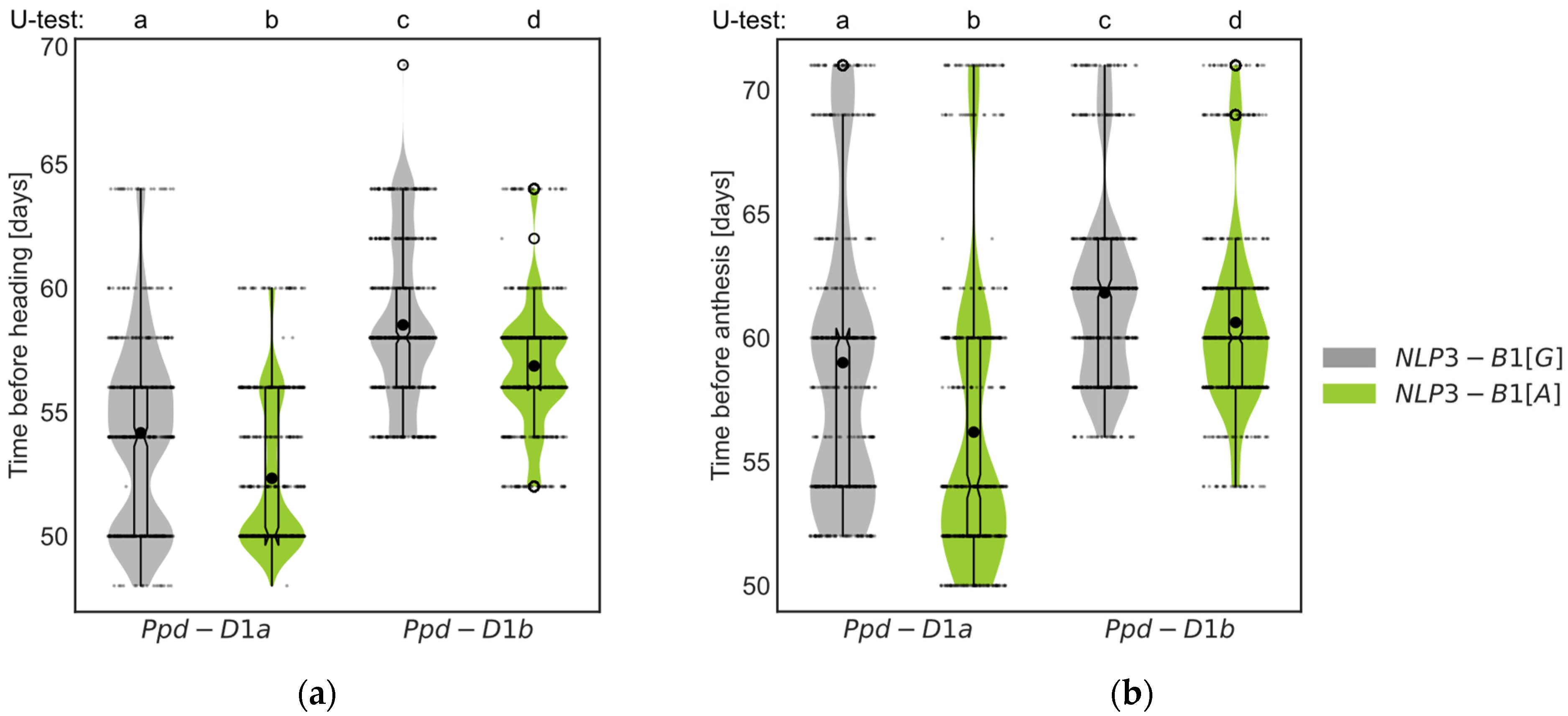 Agronomy 14 02888 g006