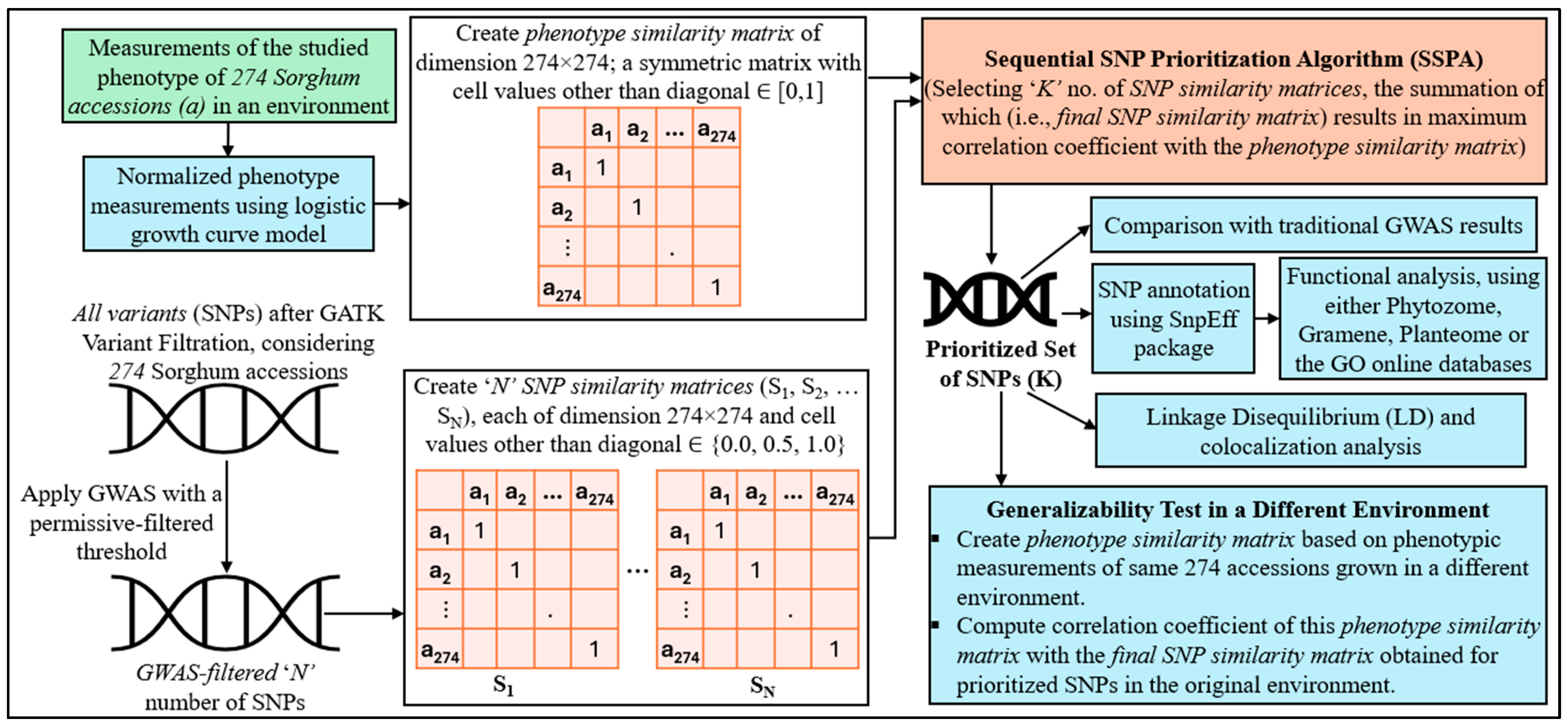 Agronomy 14 02894 g003