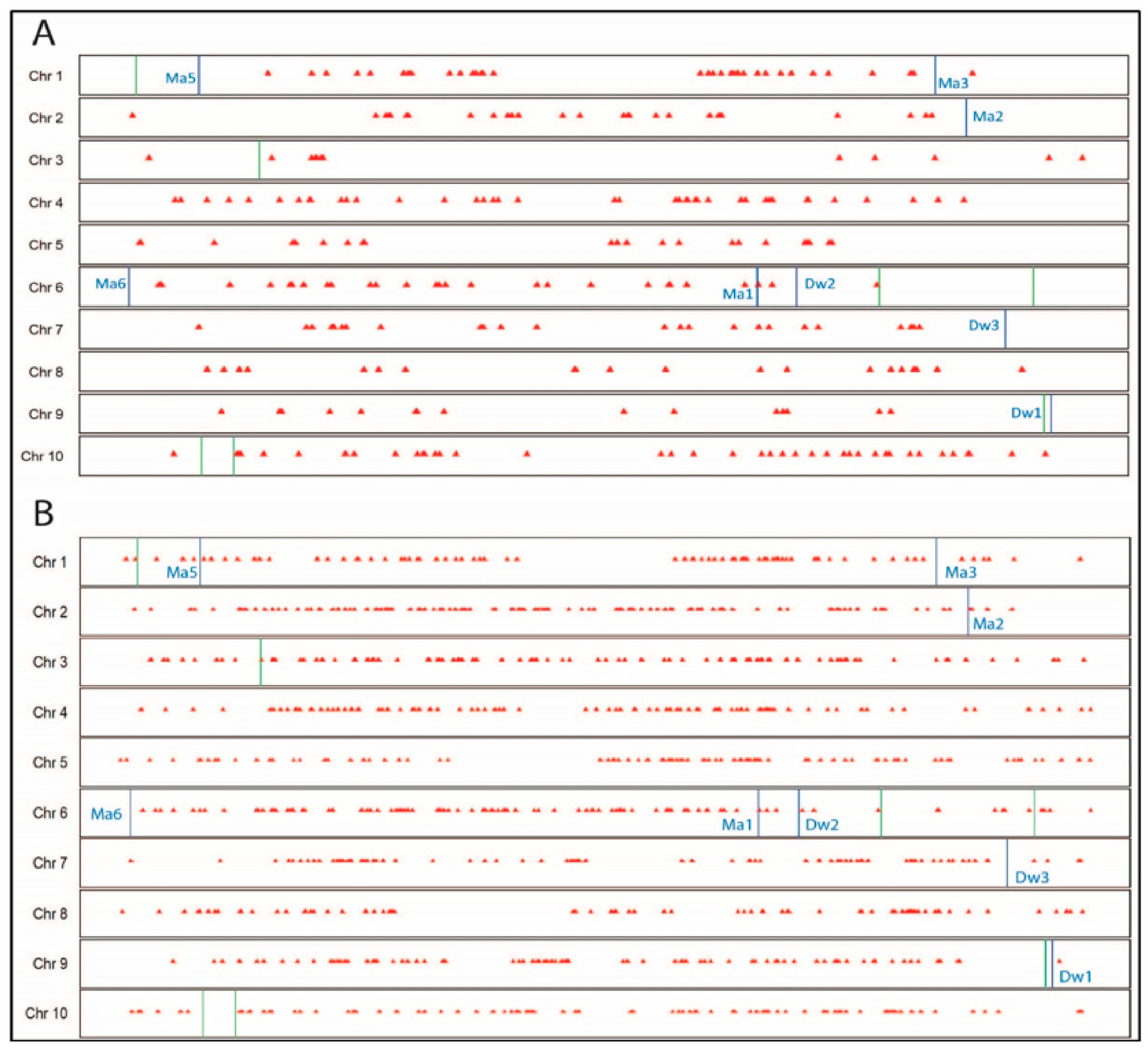 Agronomy 14 02894 g012