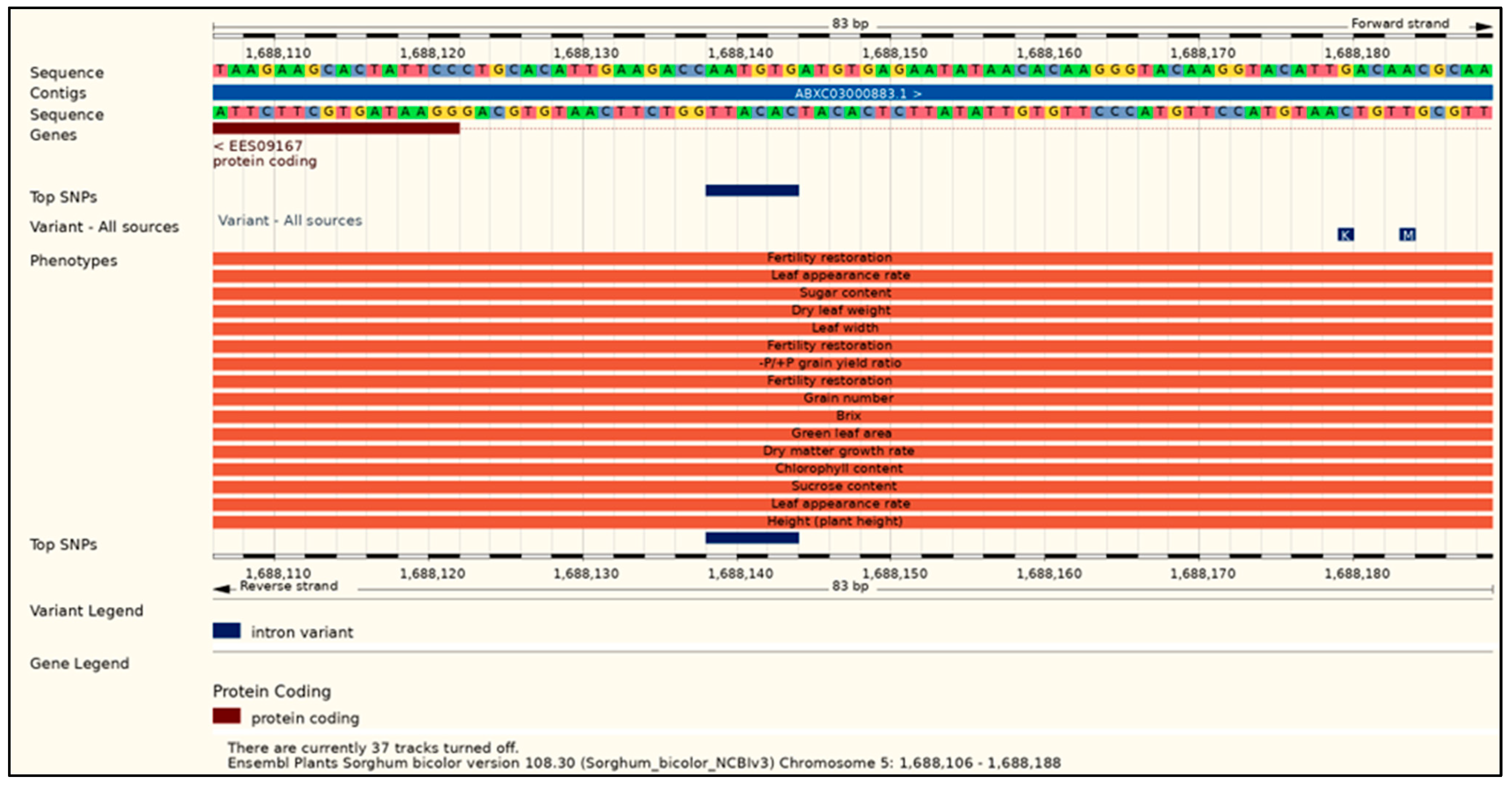 Agronomy 14 02894 g0a1