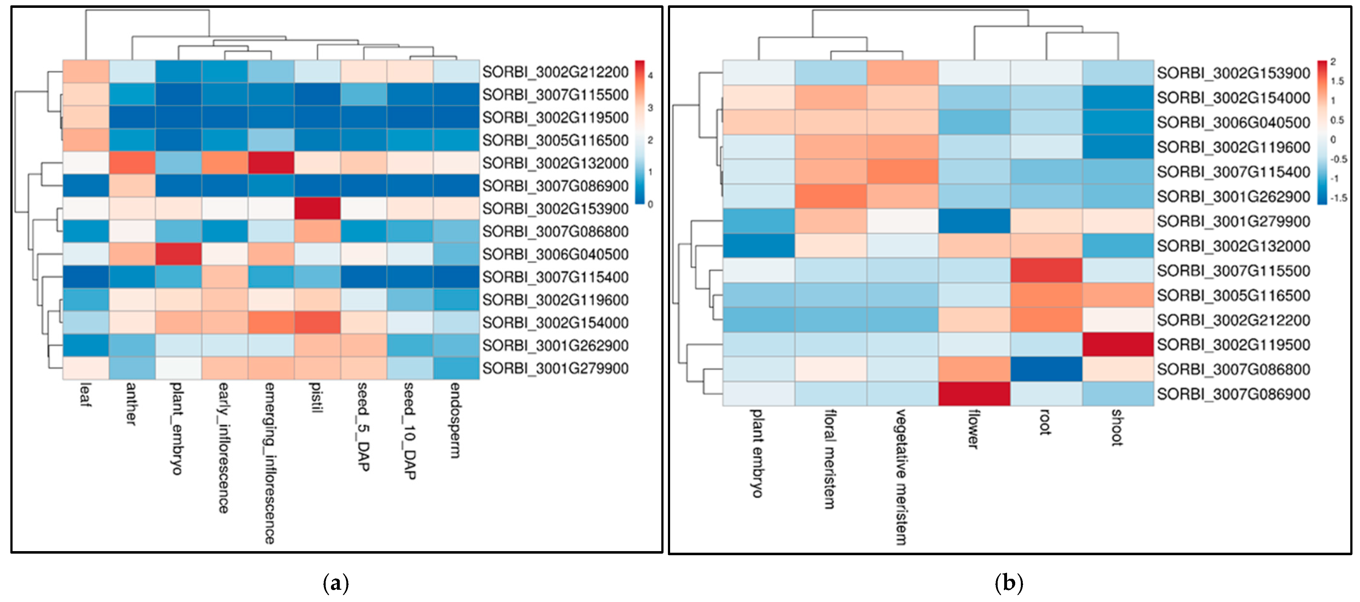 Agronomy 14 02894 g0a4a
