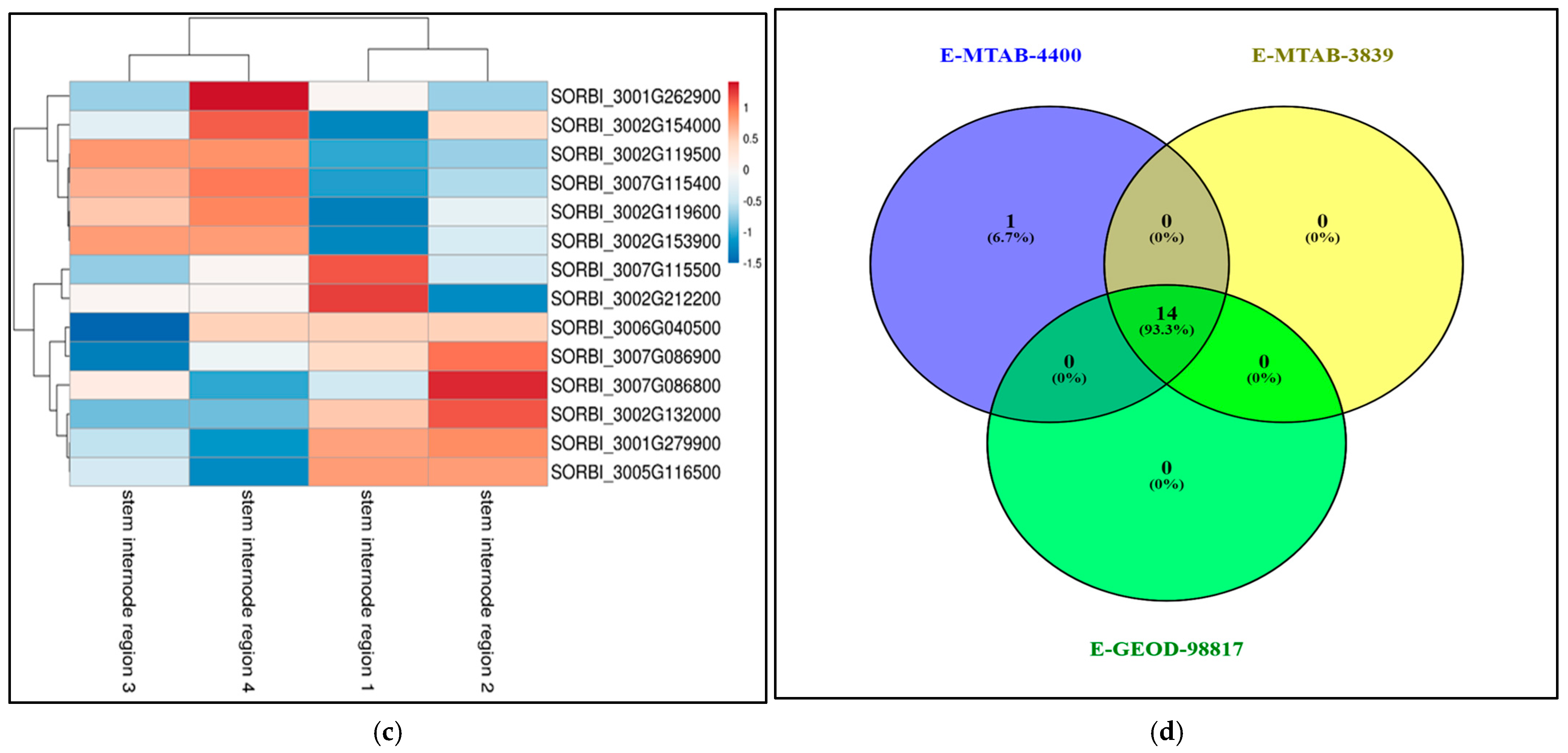 Agronomy 14 02894 g0a4b
