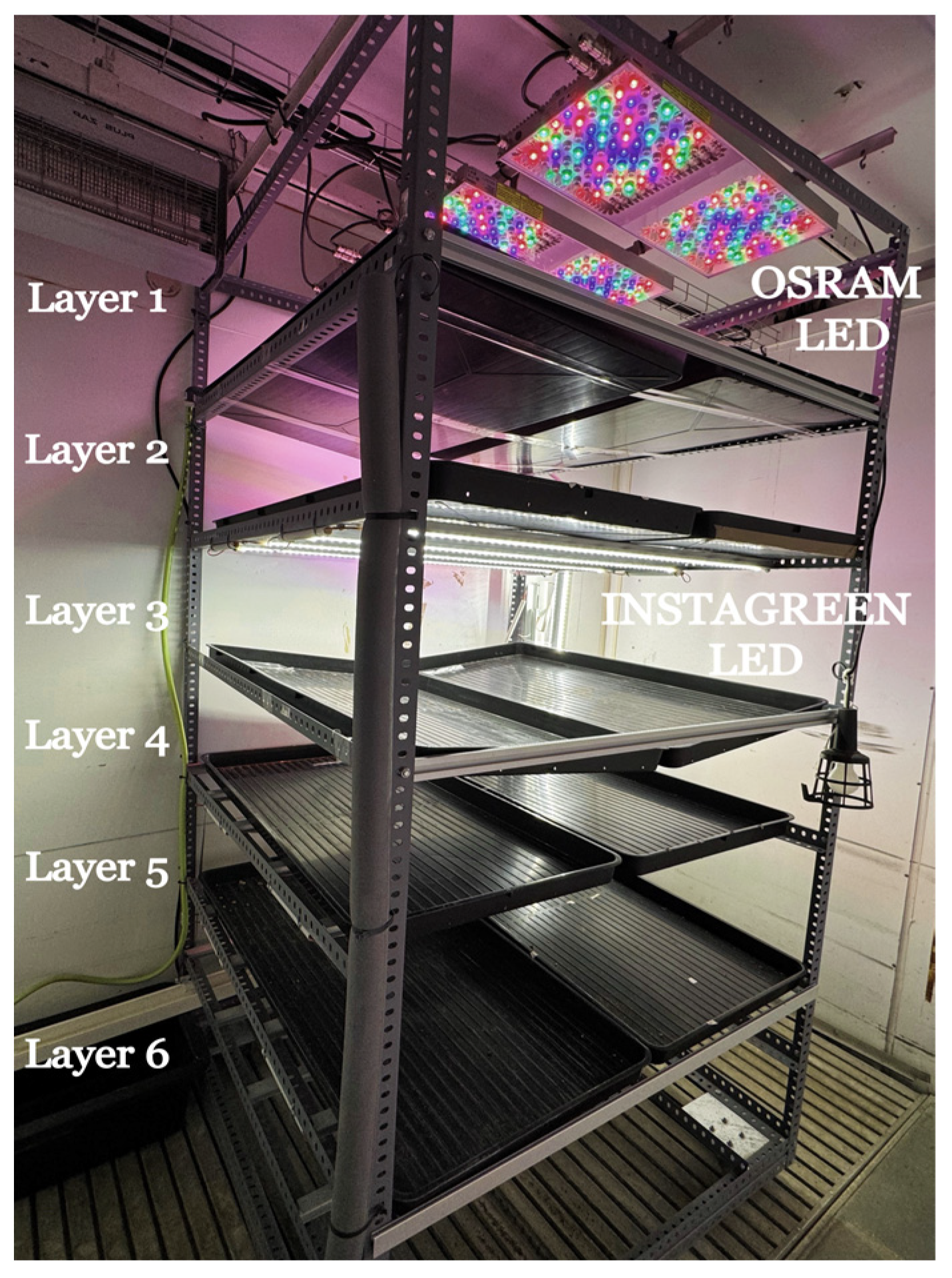 Agronomy 14 02895 g001 Agronomy 14 02895 g001