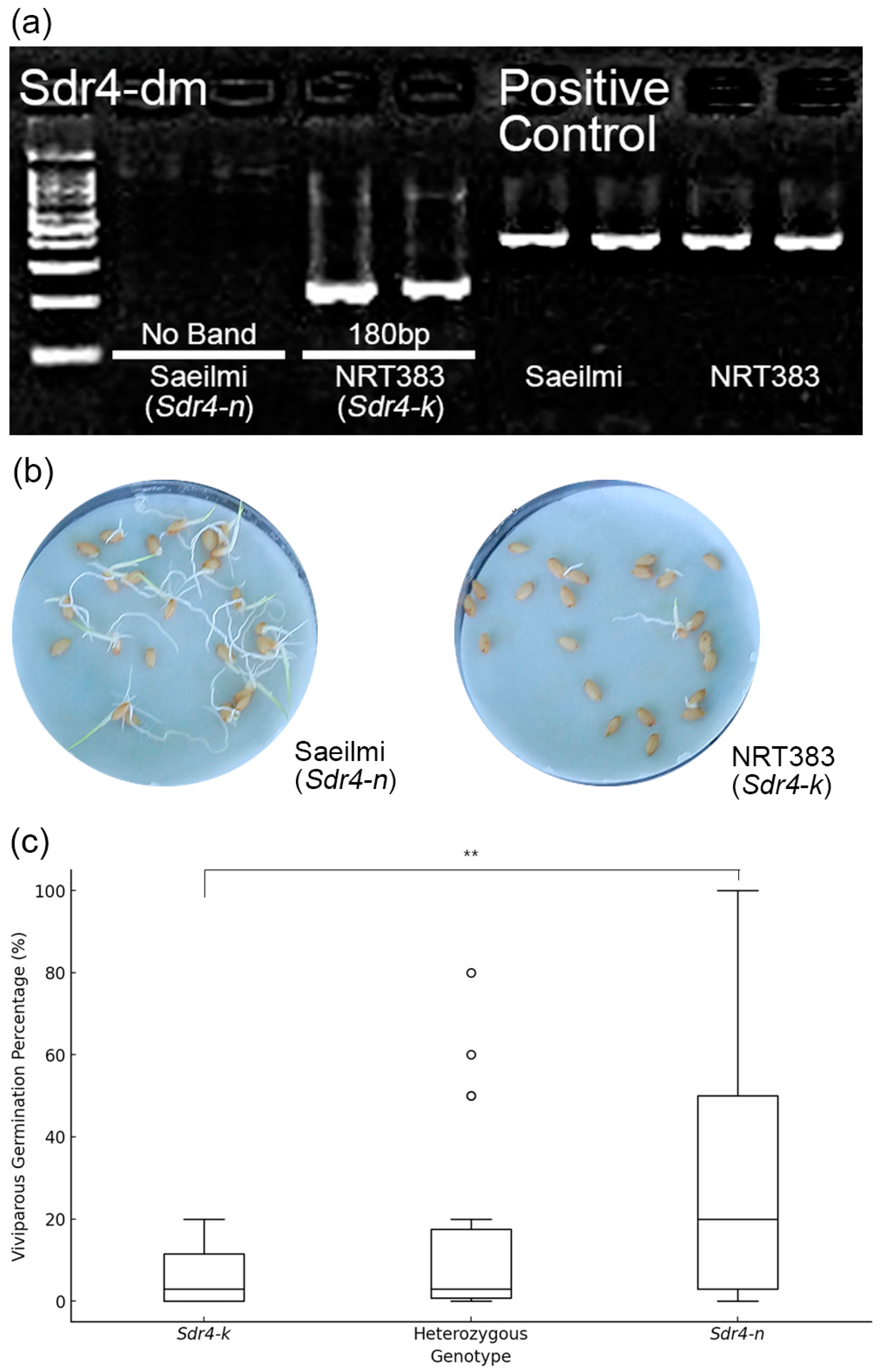 Agronomy 14 02896 g001