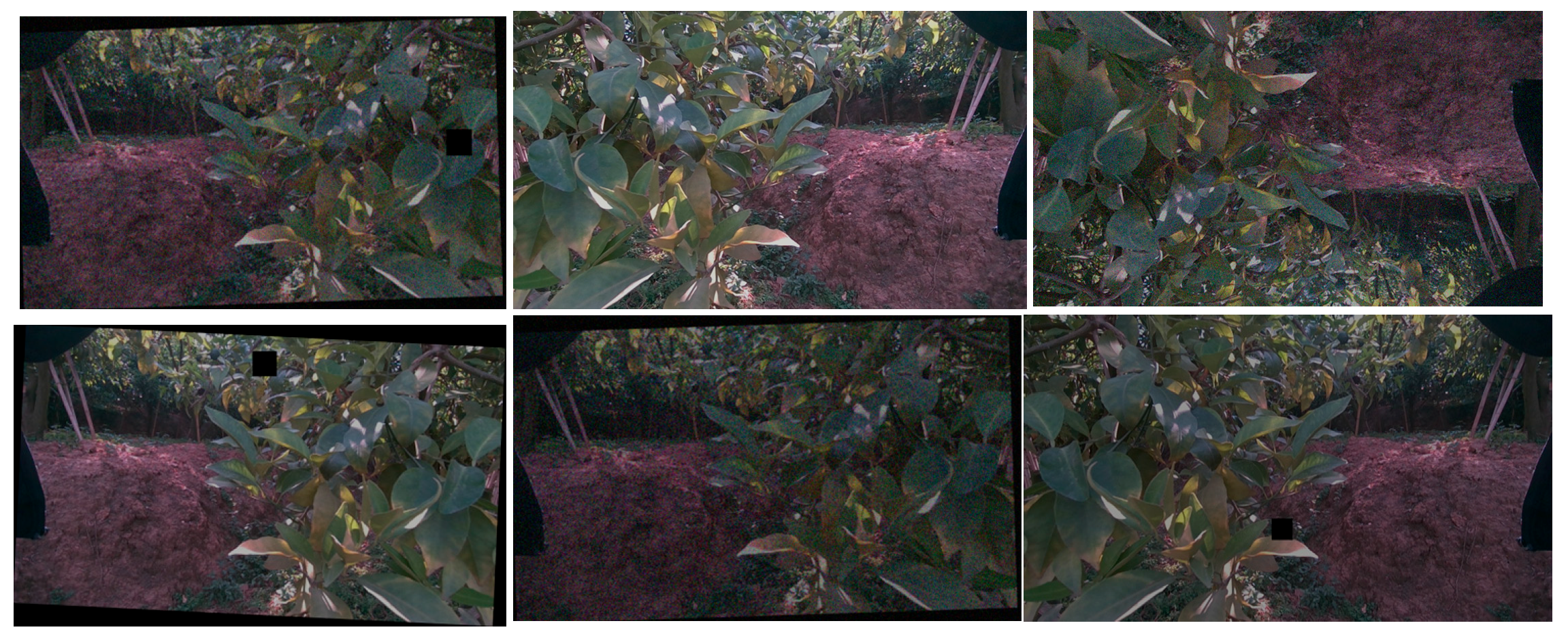 Agronomy 14 02900 g002