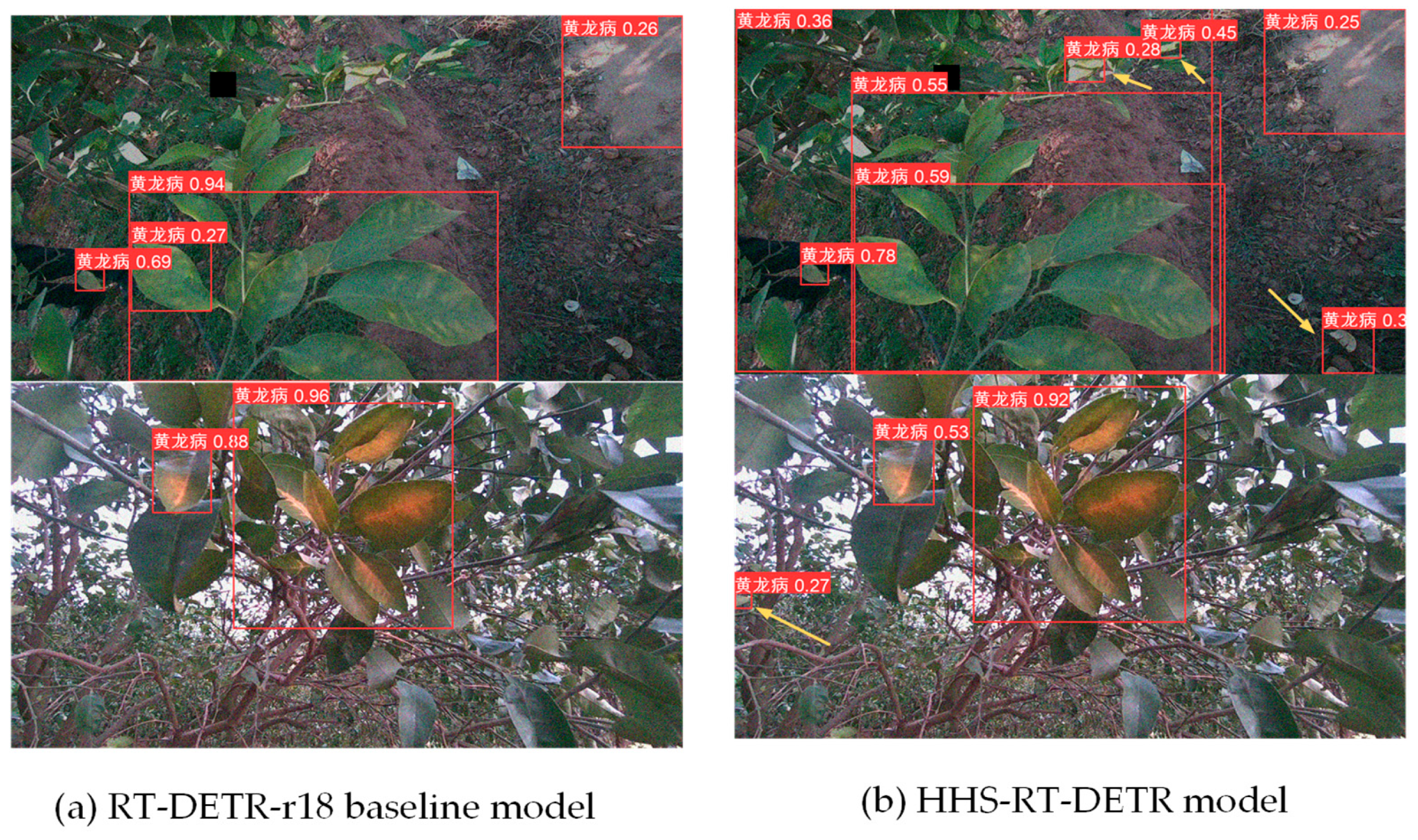 Agronomy 14 02900 g010