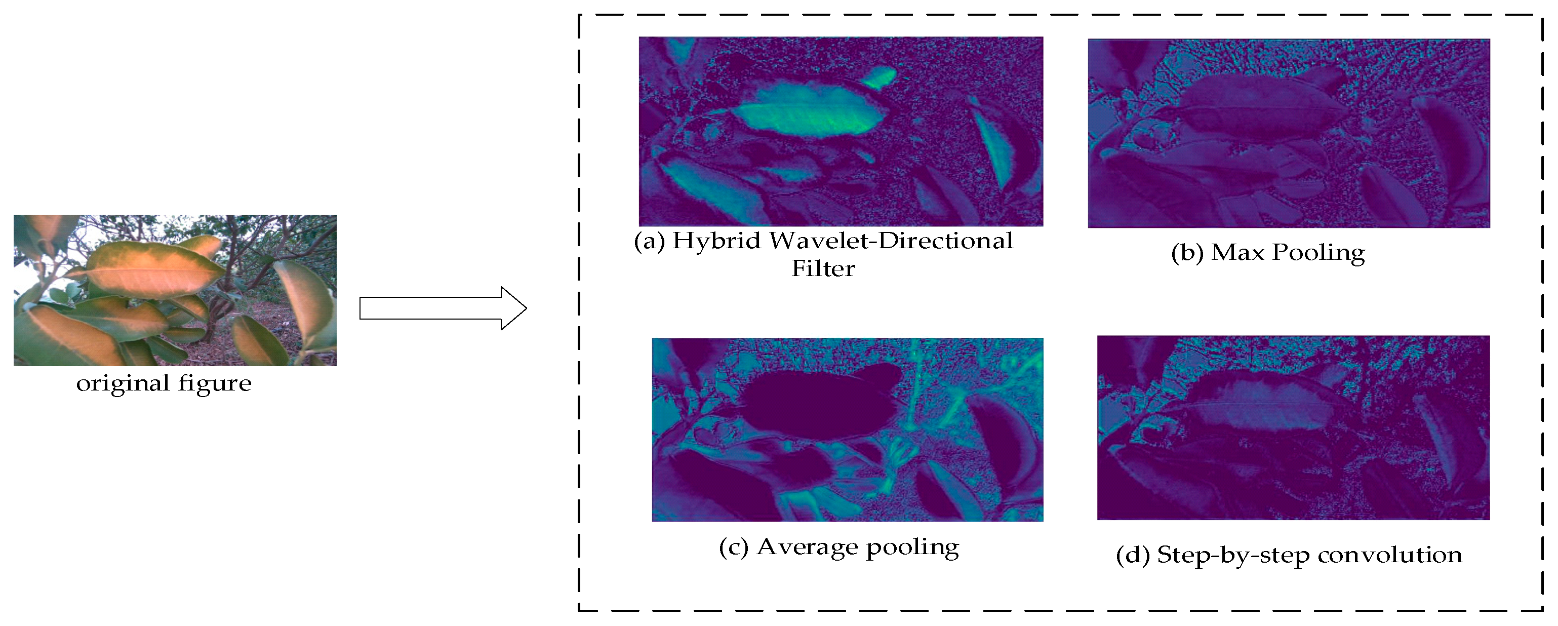 Agronomy 14 02900 g011