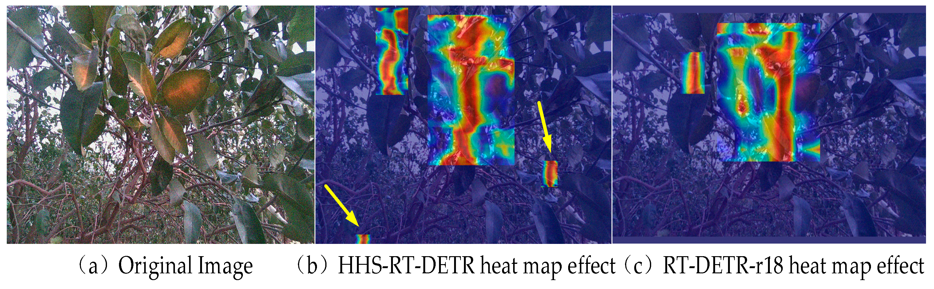 Agronomy 14 02900 g013