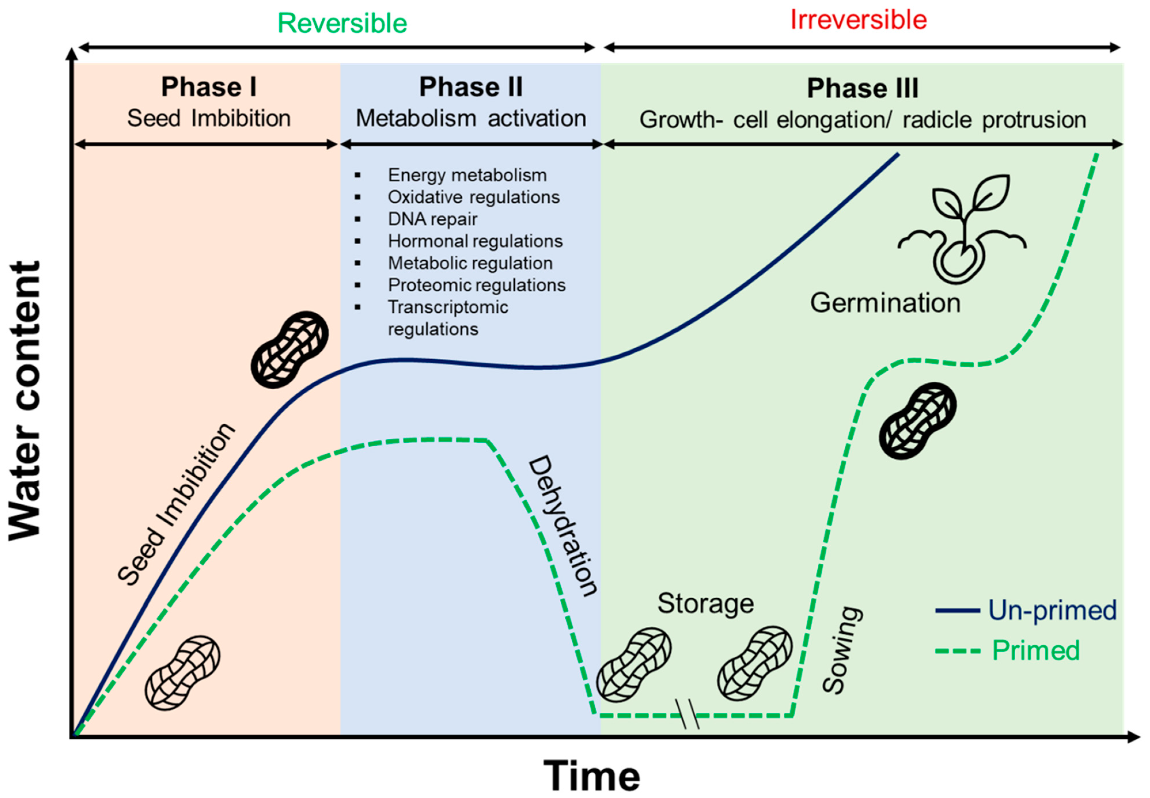 Agronomy 14 02901 g001