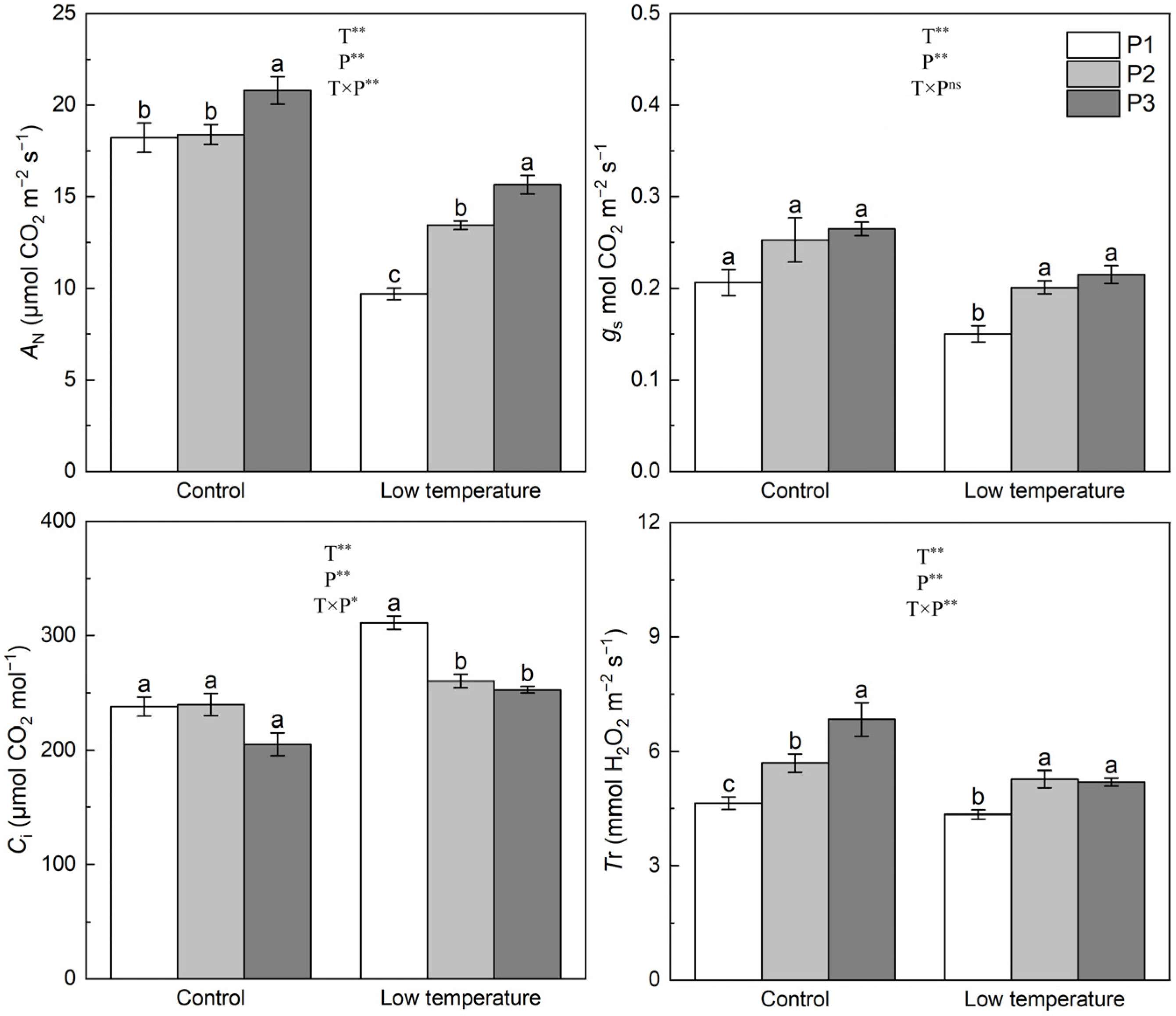 Agronomy 14 02902 g001